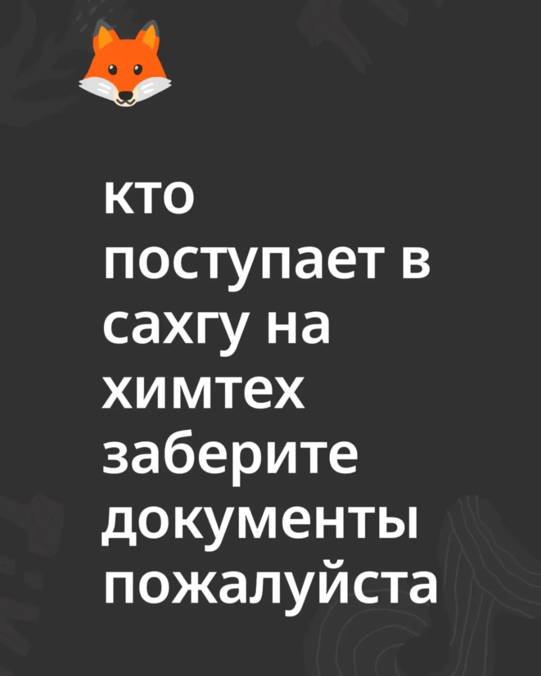 @피샤 Ψ
