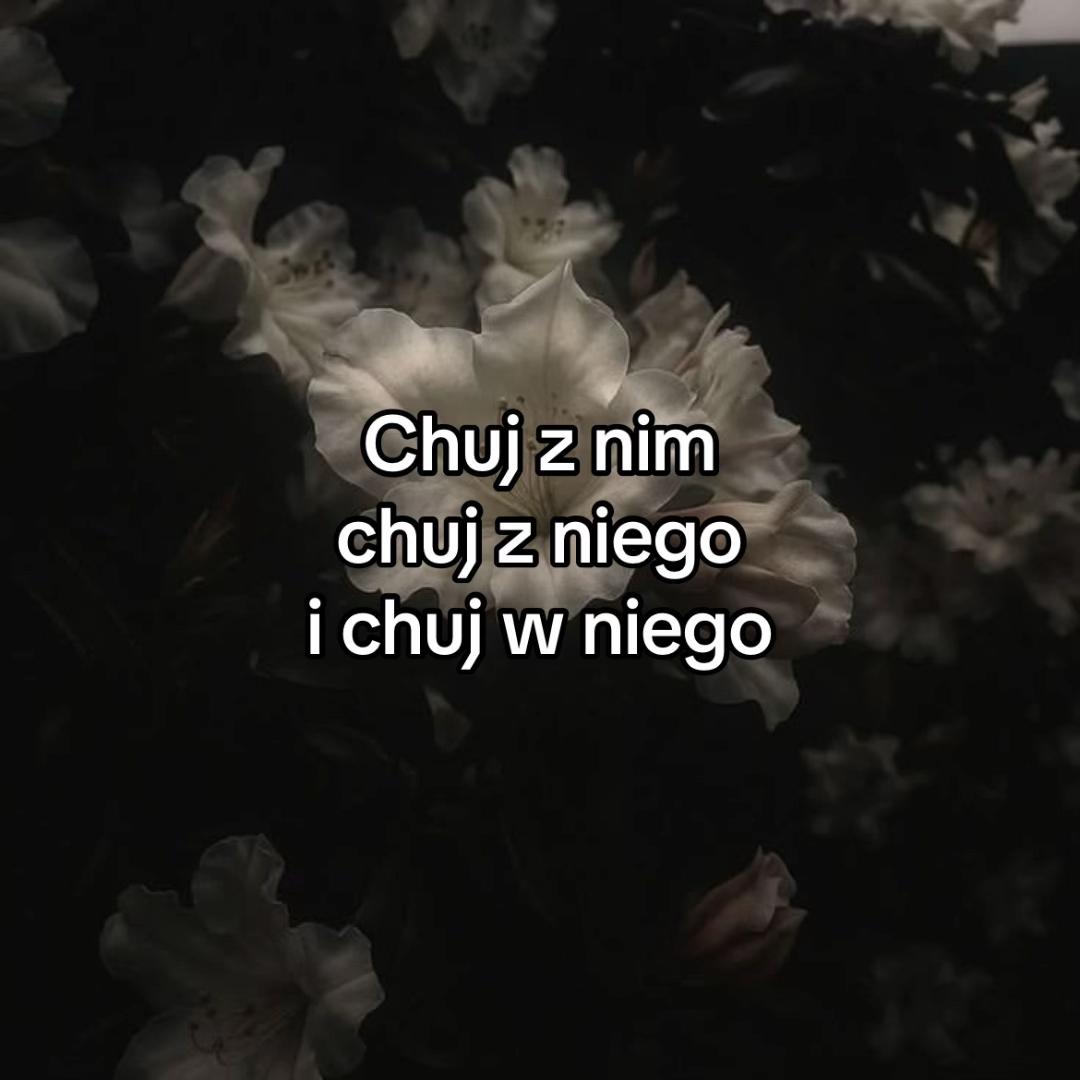 @weronika