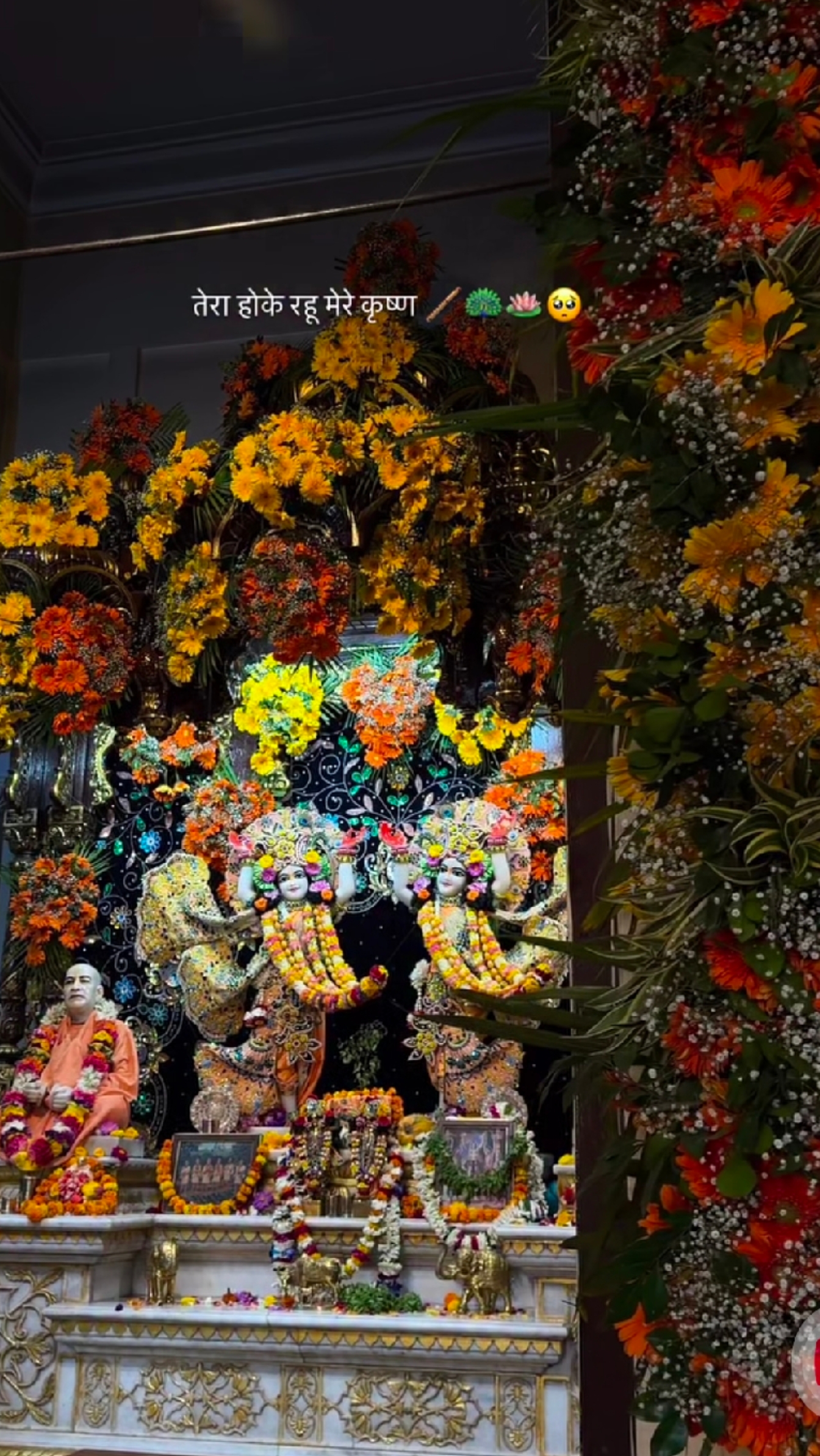 @🦚हरे कृष्ण (राधा❤️🪈)