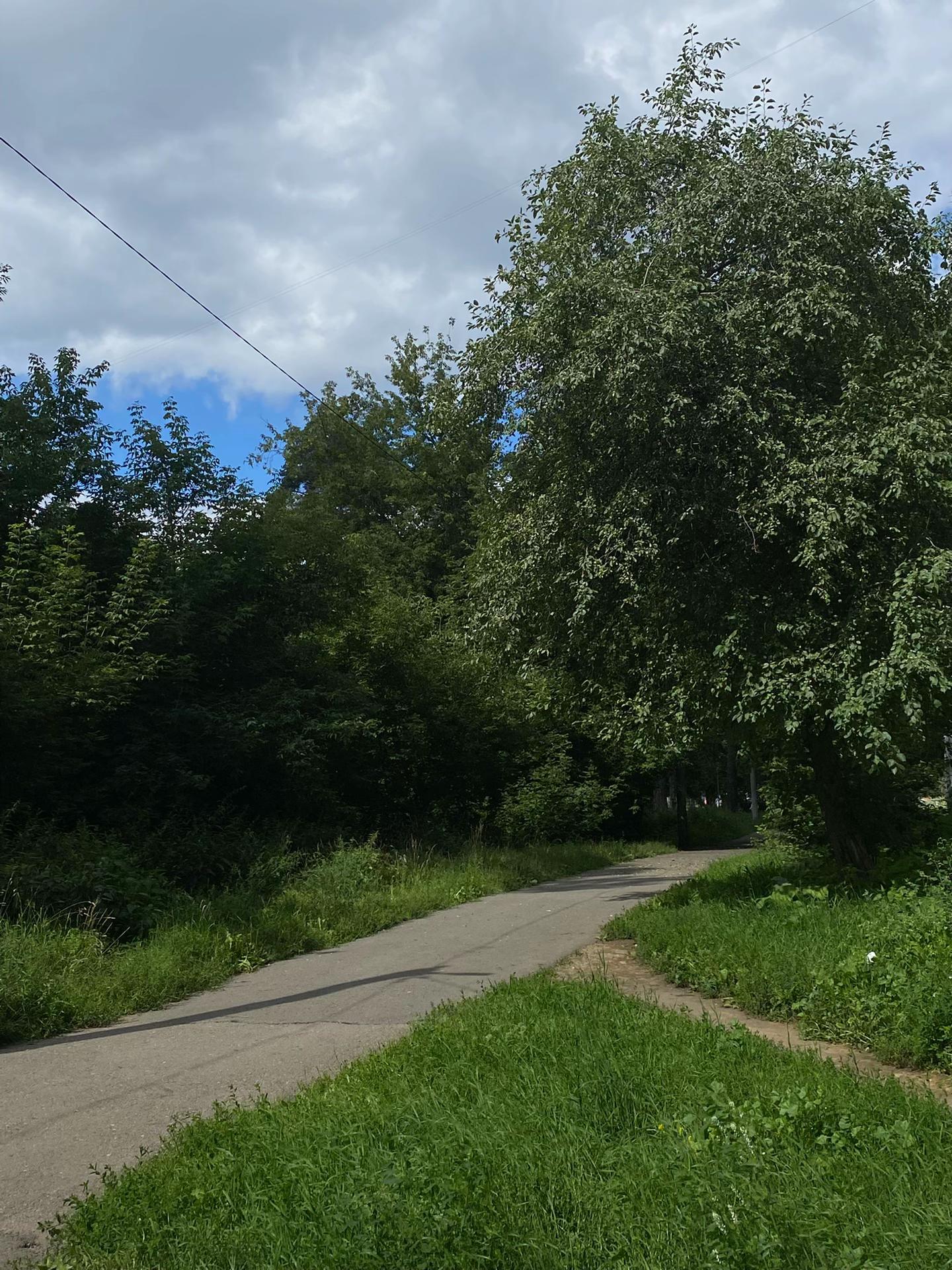 @кертвекс