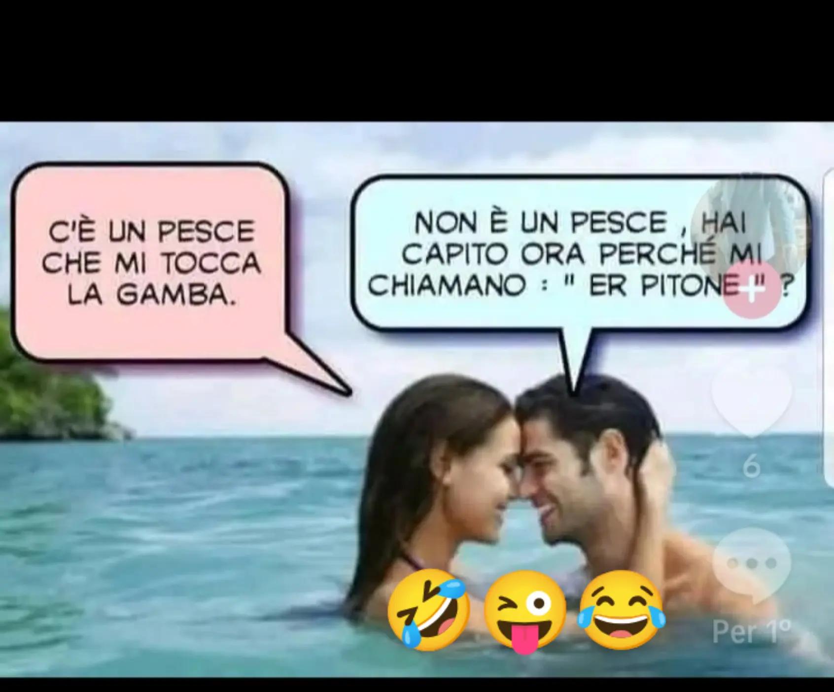 @Ninoilcamionistasiciliano🚛