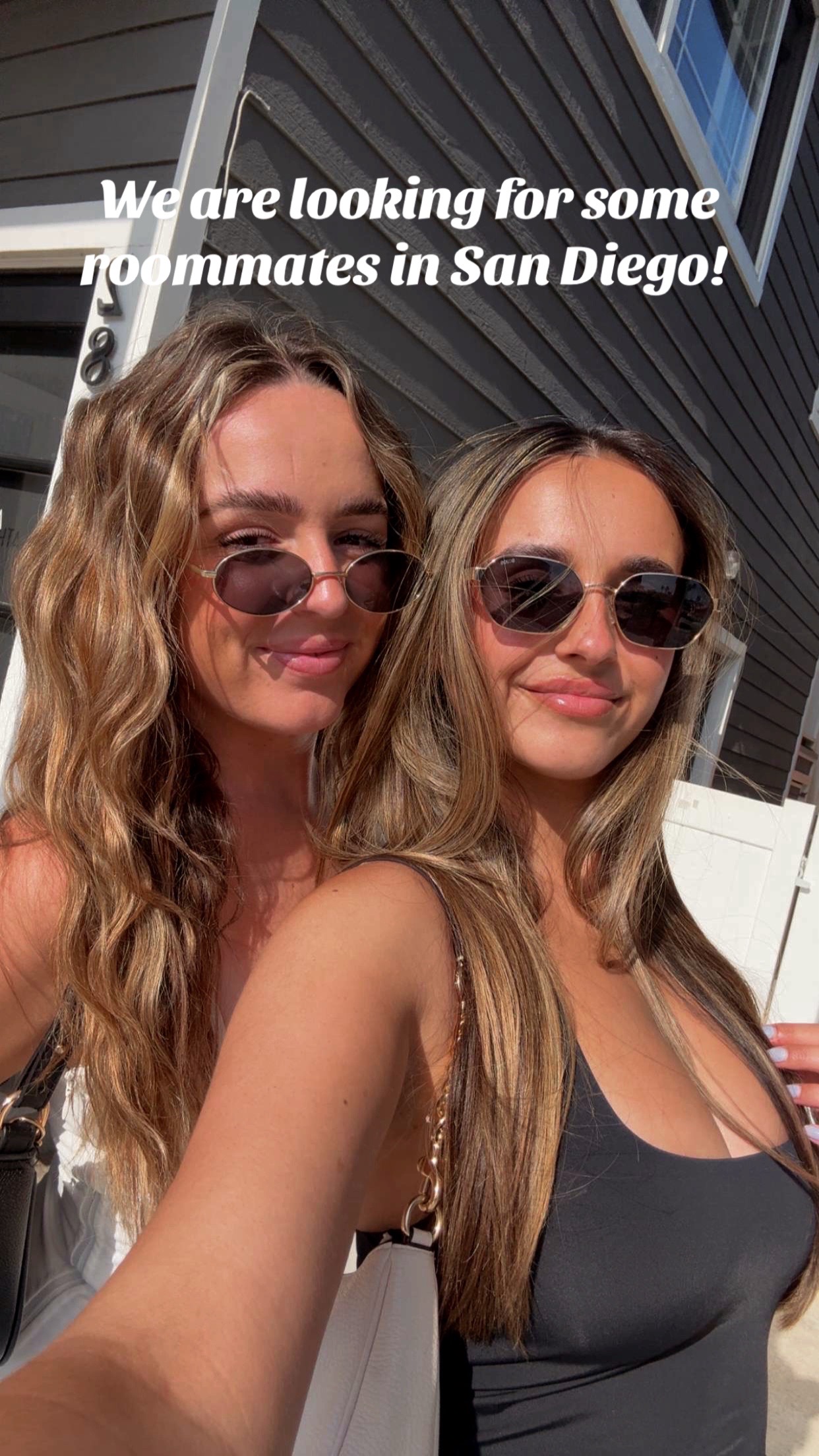 @sophia ippolito