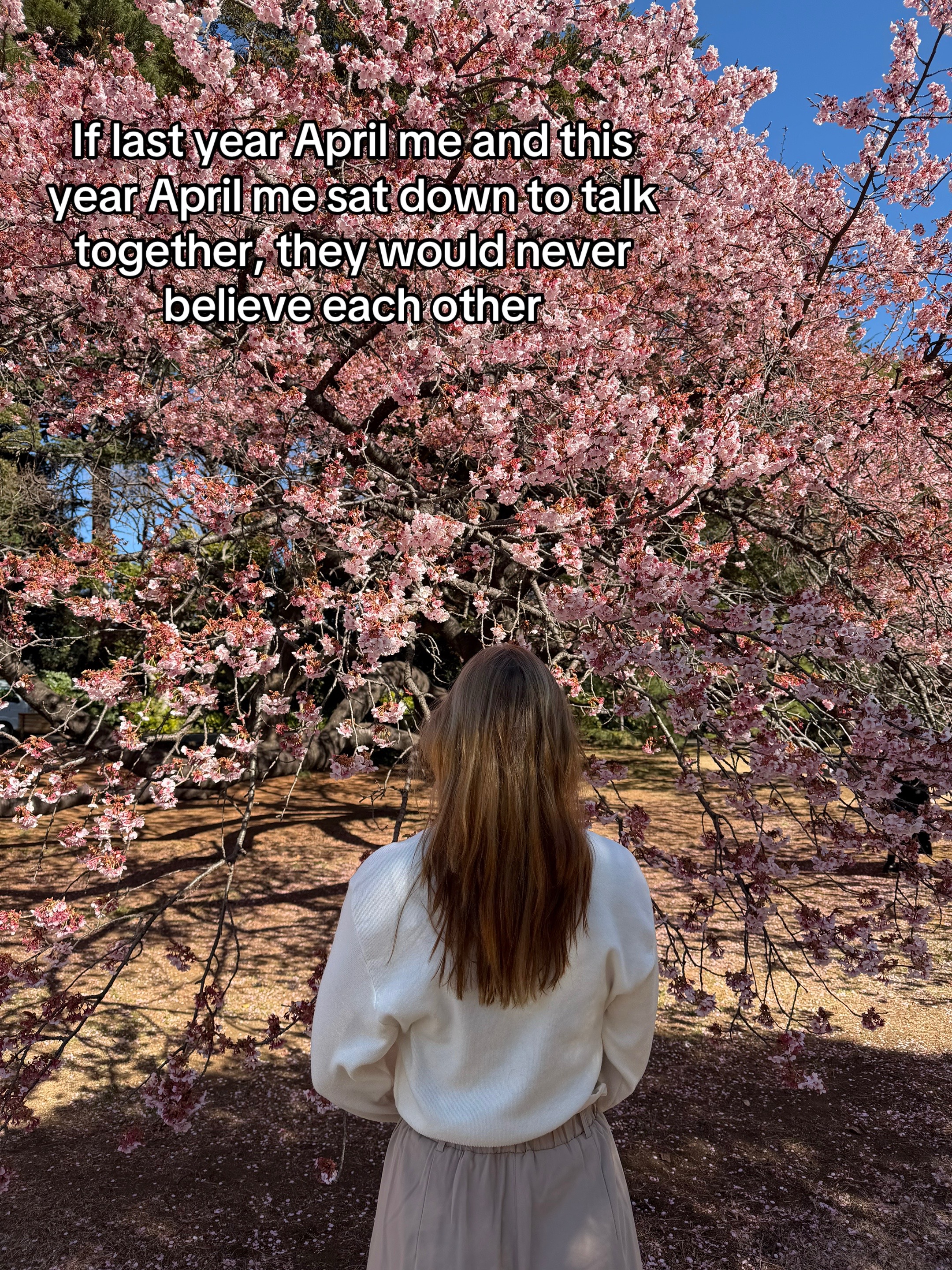 @brookiedl