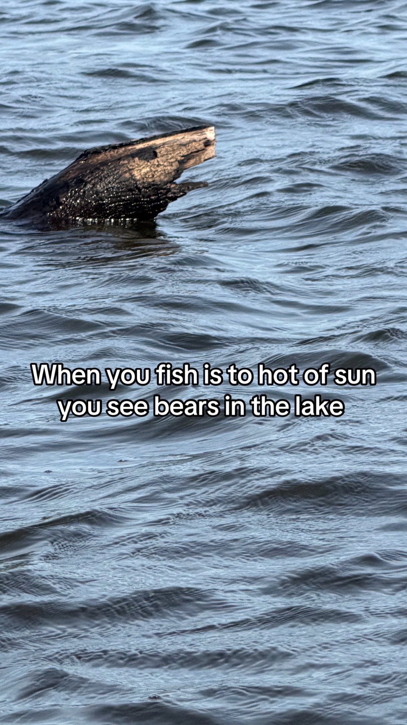 @STUCKINTHETREEFISHING