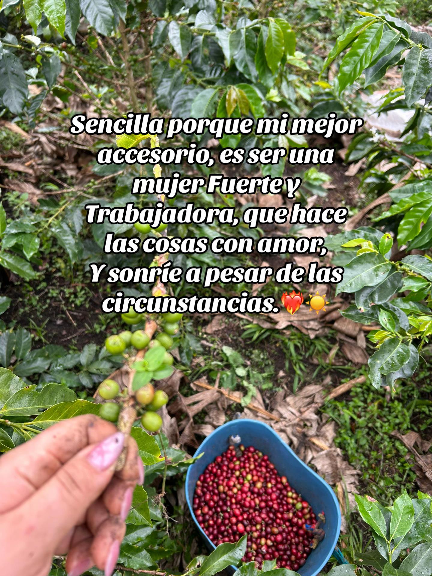 @Irene Arango