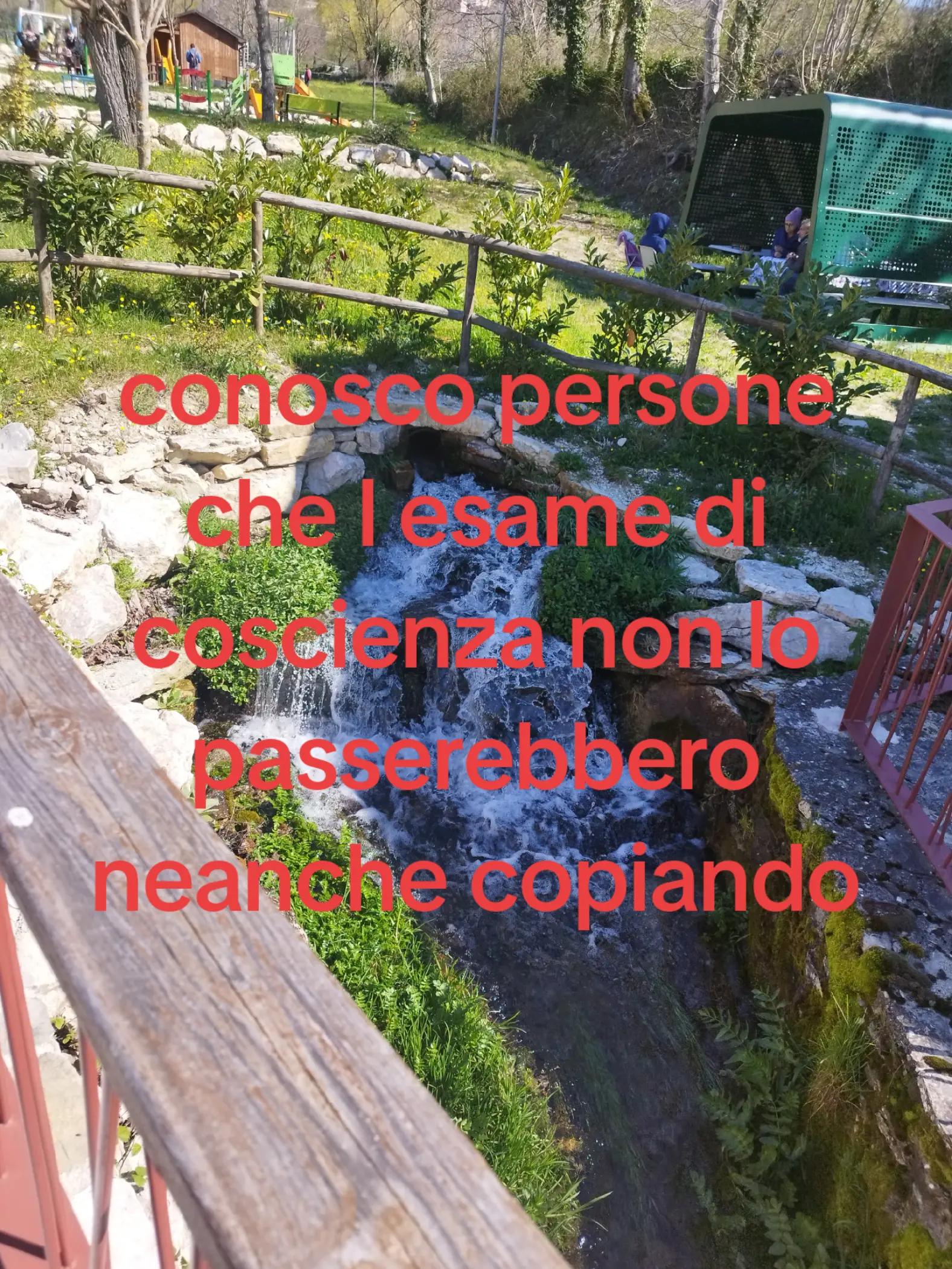 @la#dolcezza#di#gennaro