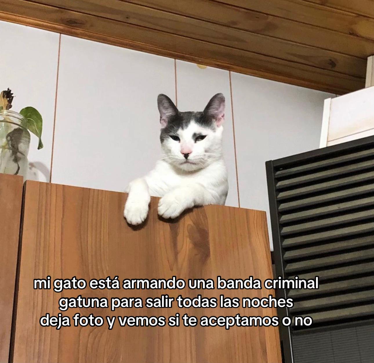 @sekagirl