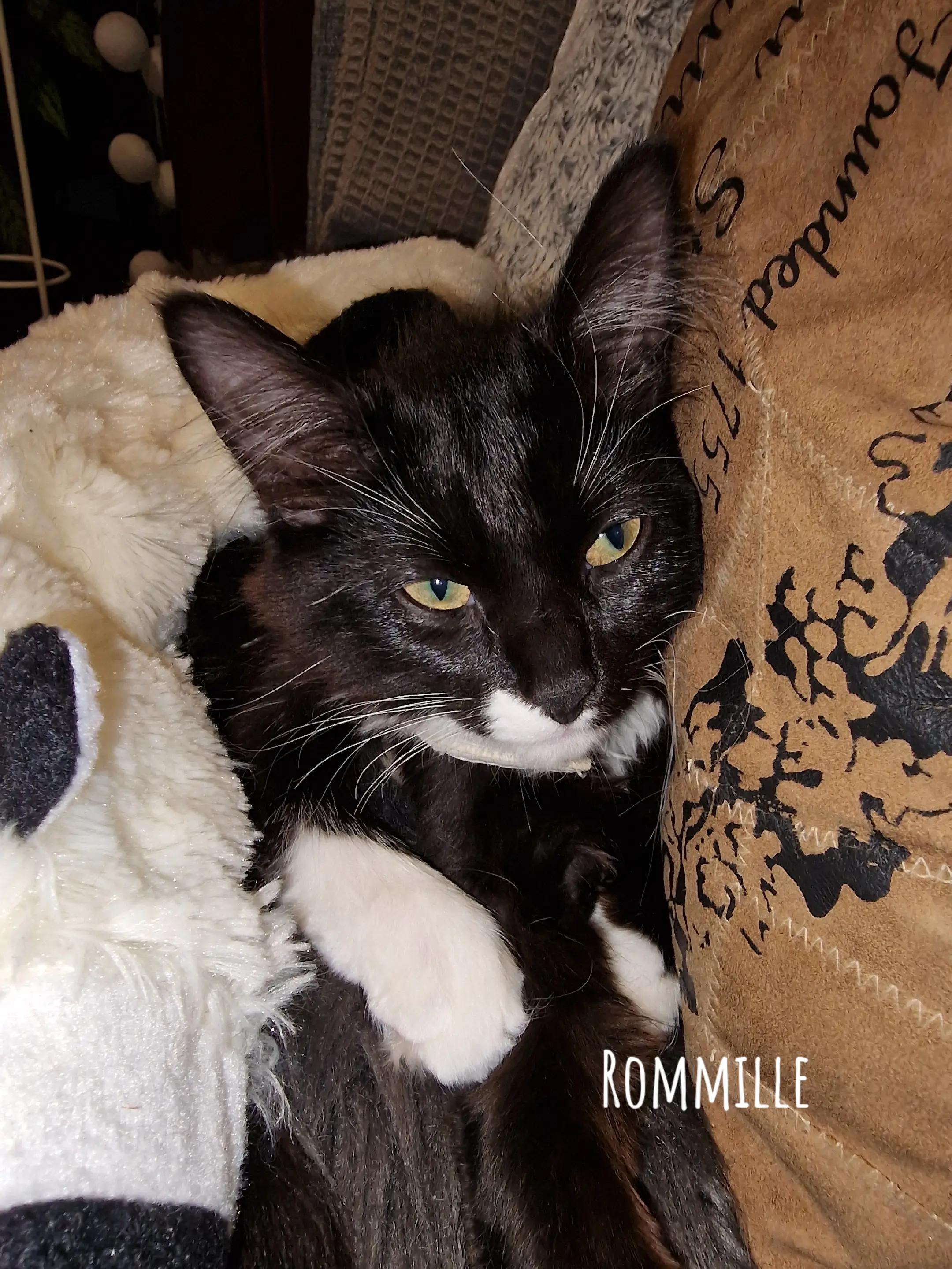 @Esko