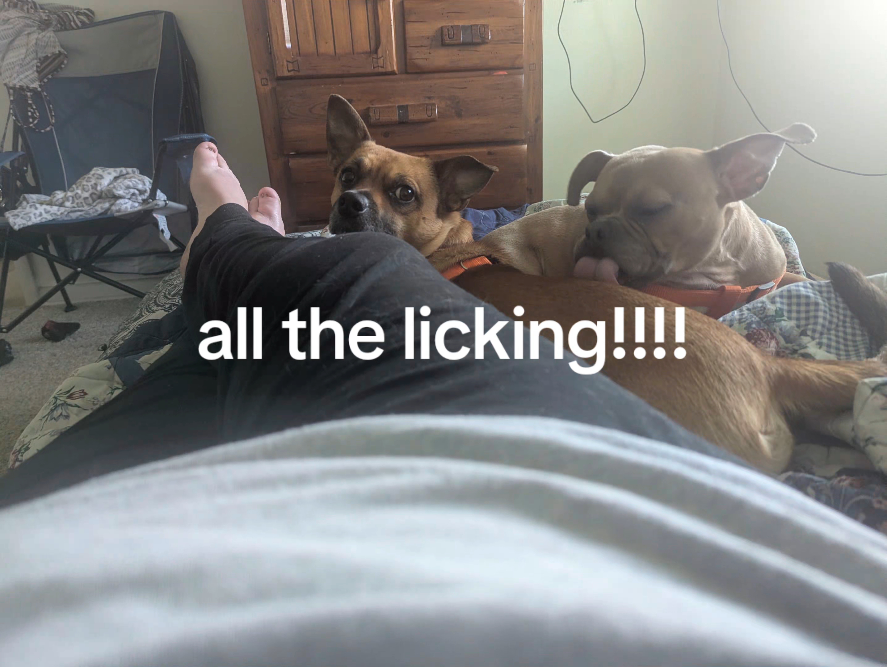 @shugabear420