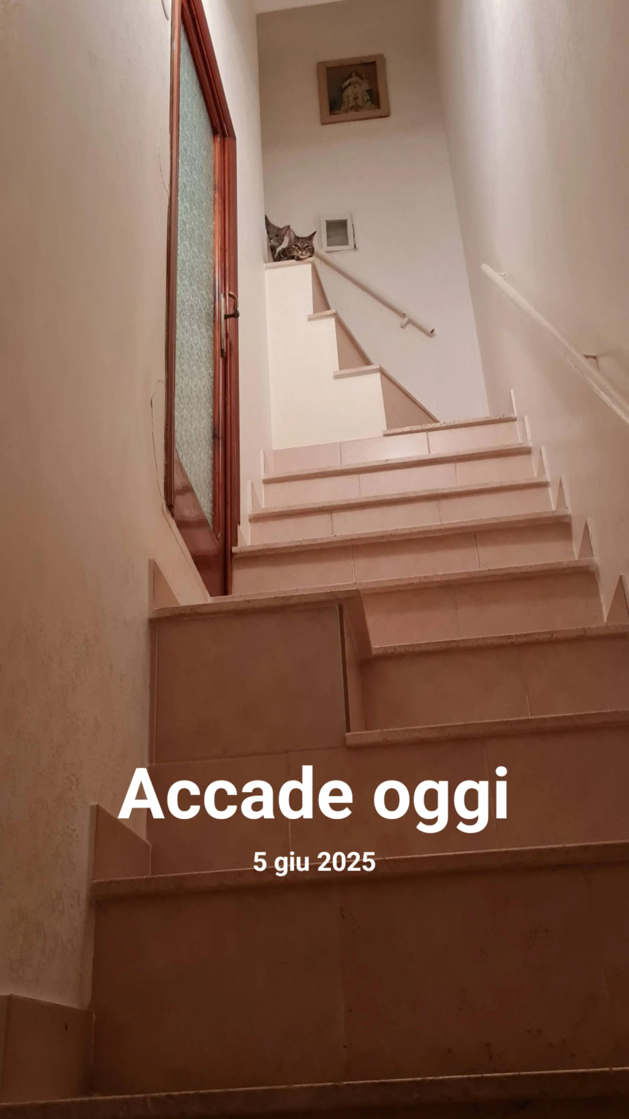 @Wikyvstheworld