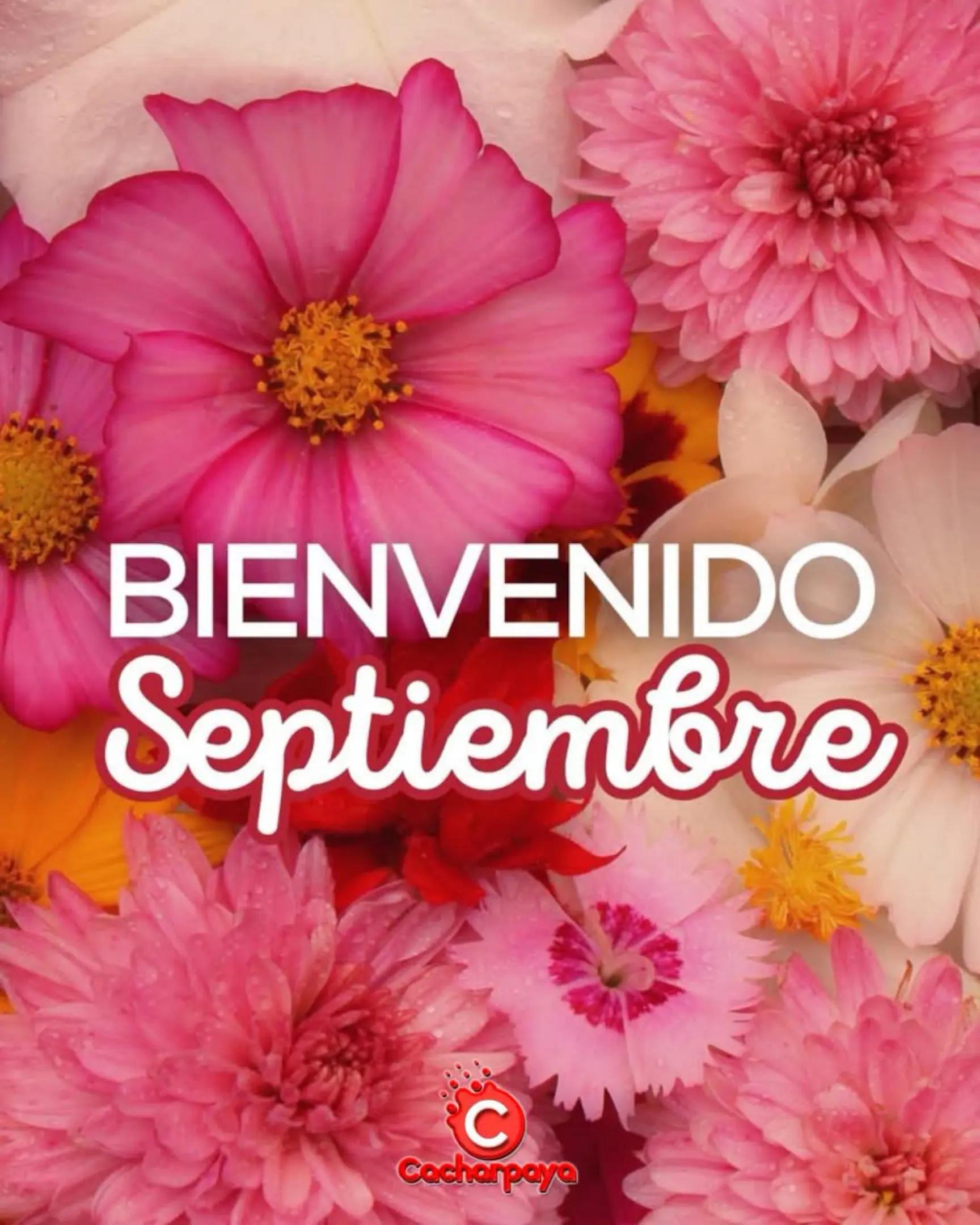 @FABI.GIM.13