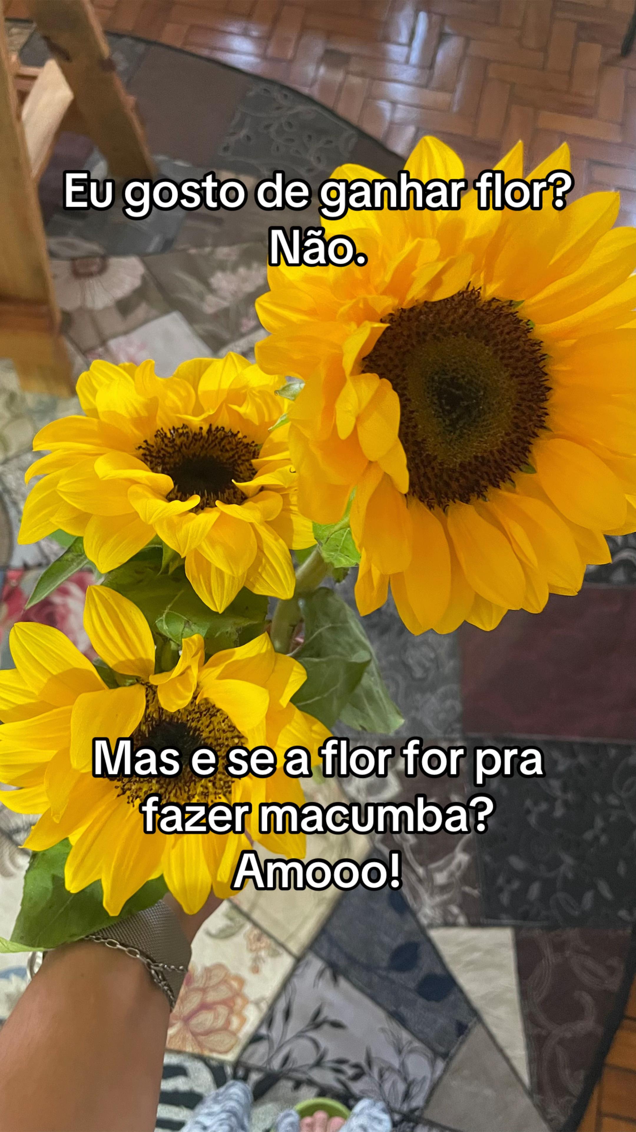 @Evelyn Castelli