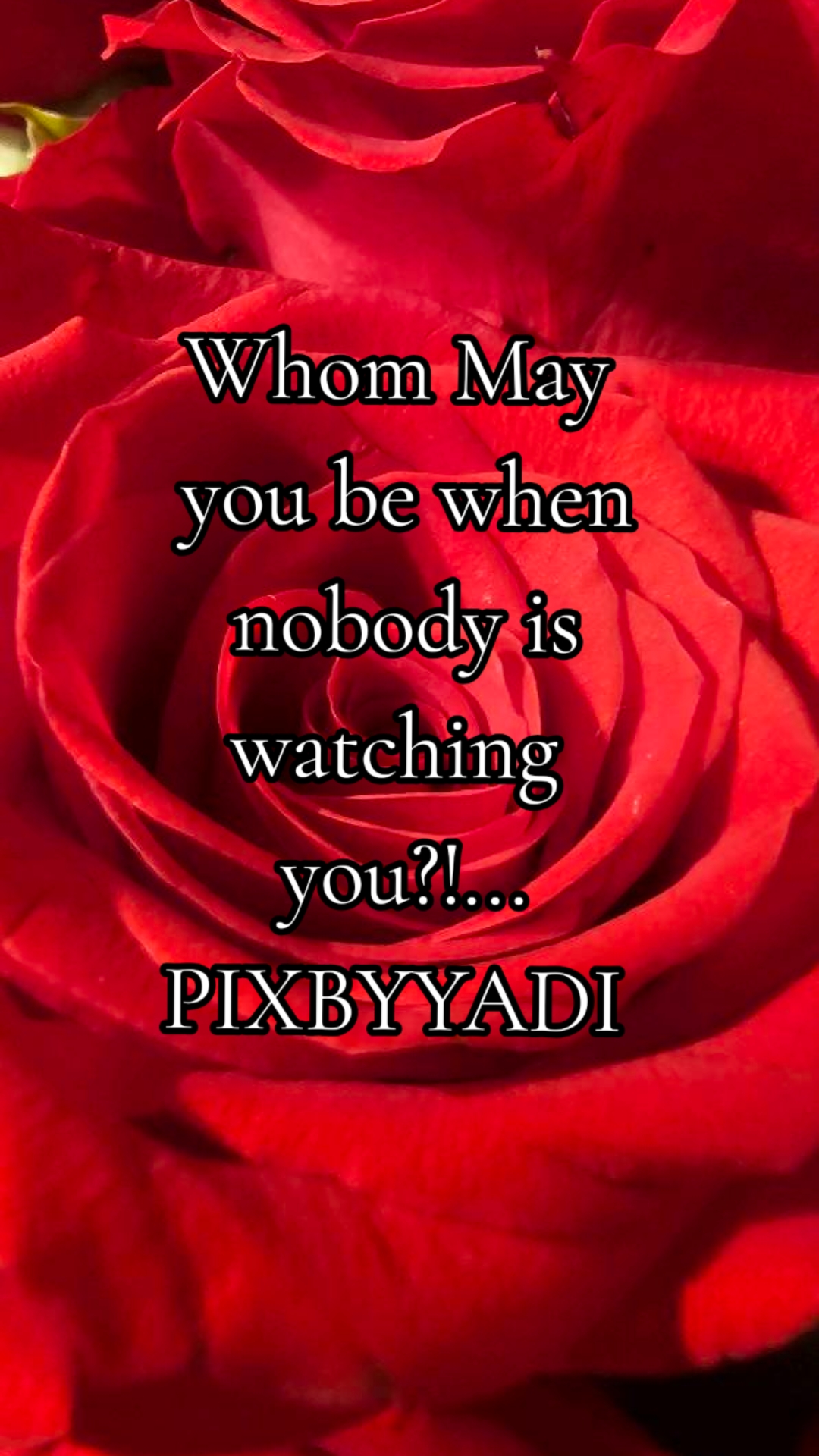 @Yadi