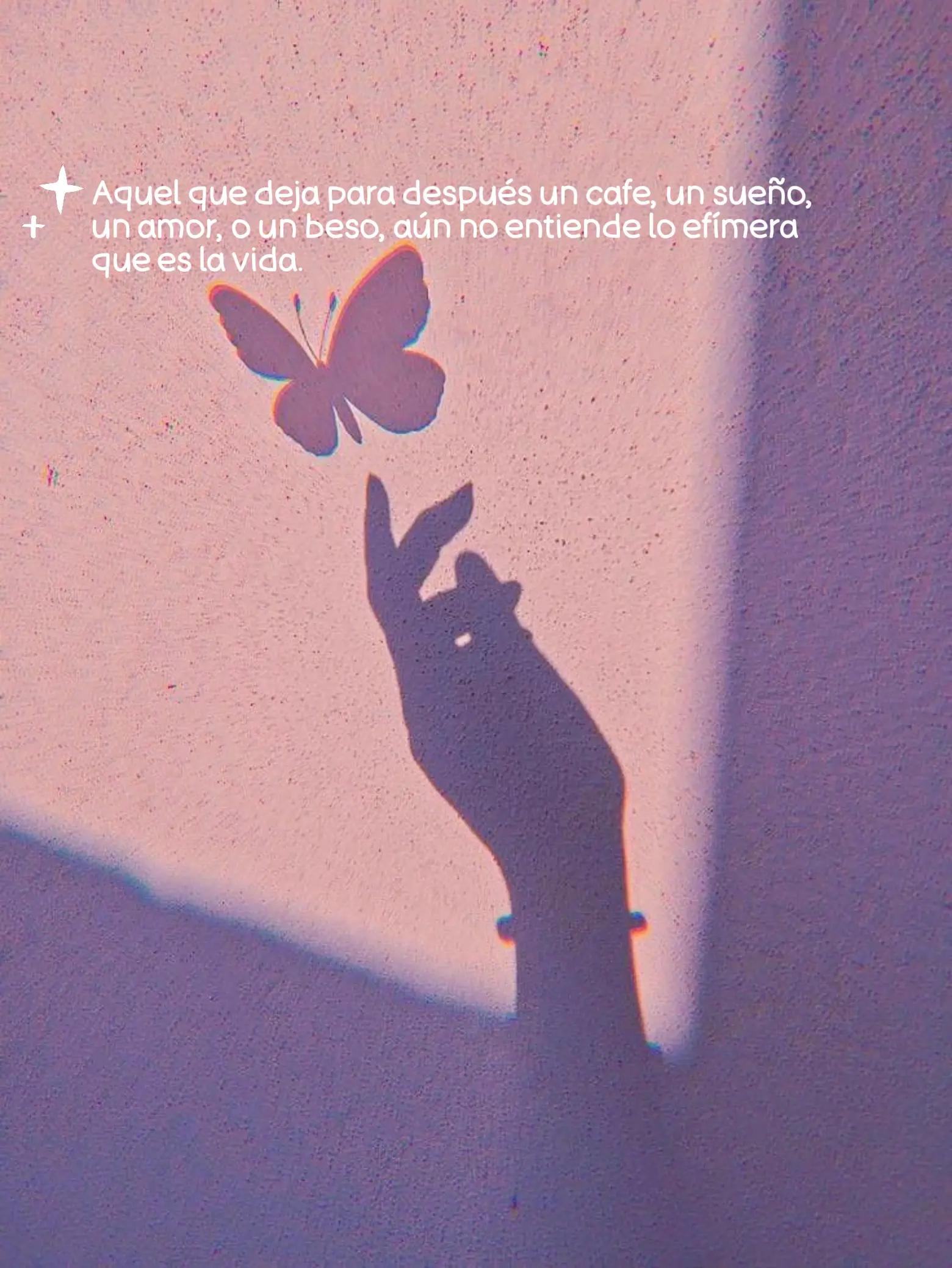 @✨️𝓒𝓲𝓷𝓽𝓱𝓲𝓪𝓵𝓲𝓷𝓮 ✨️🍒