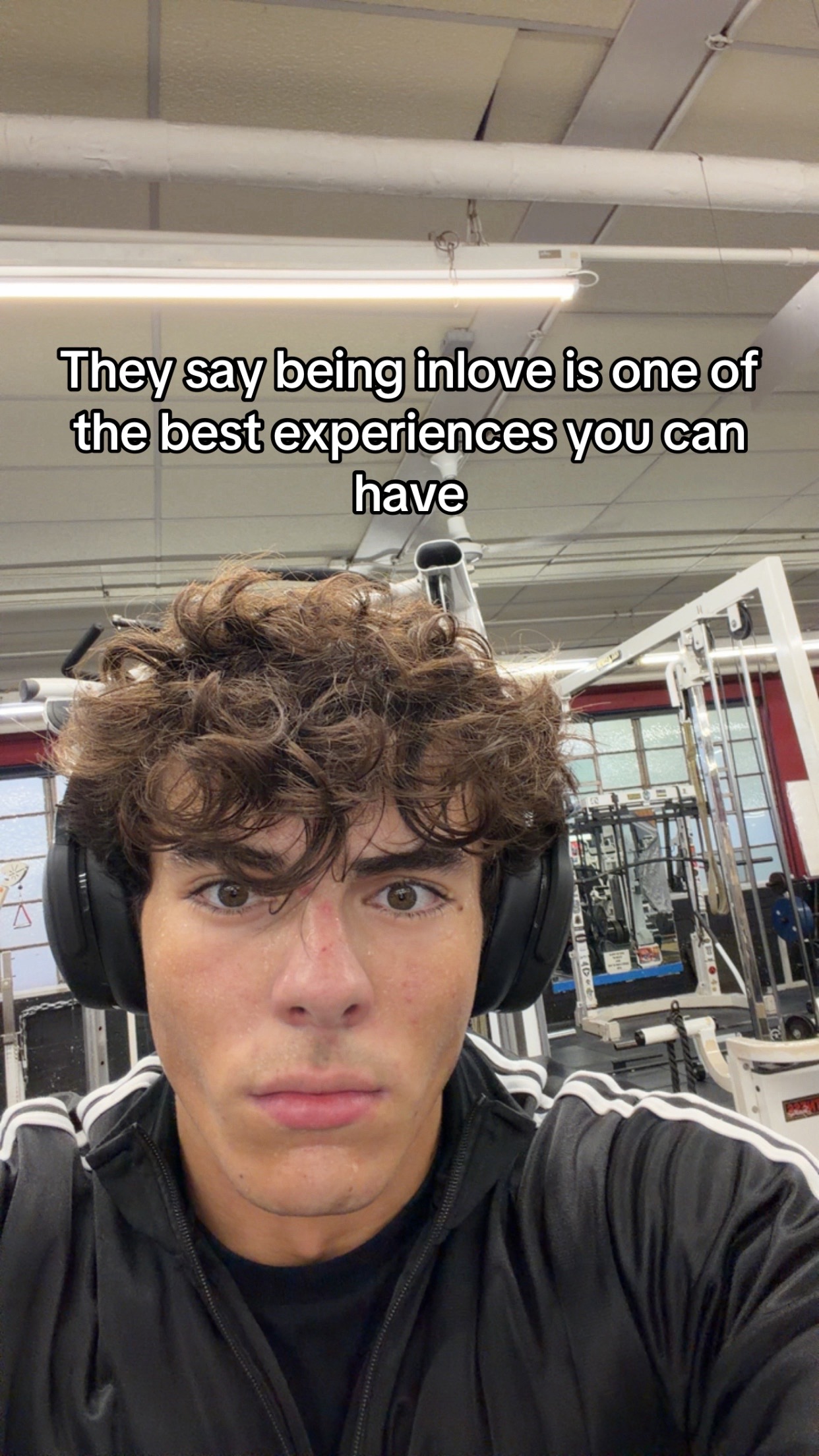@nikolai