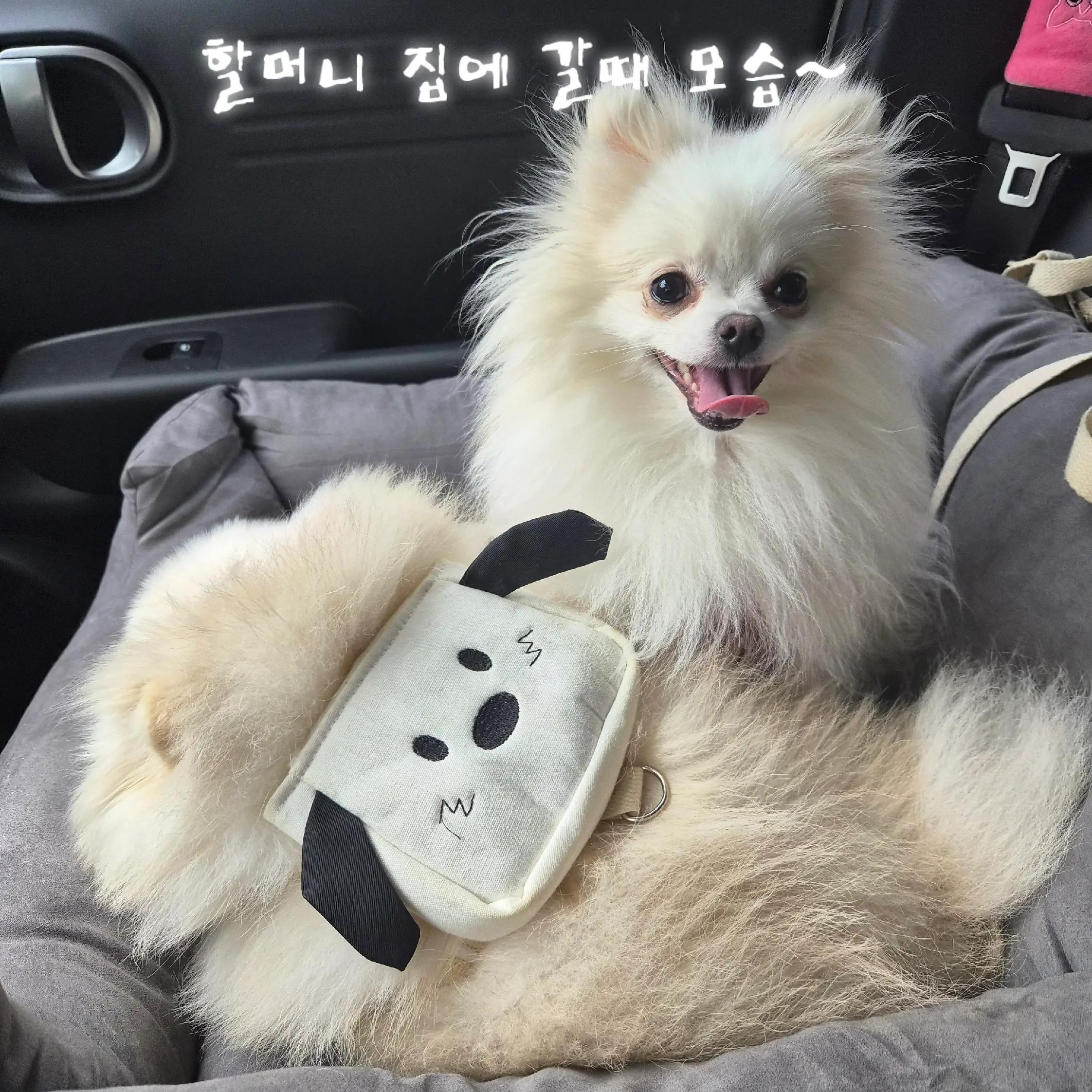 @두진이와두리 아빠