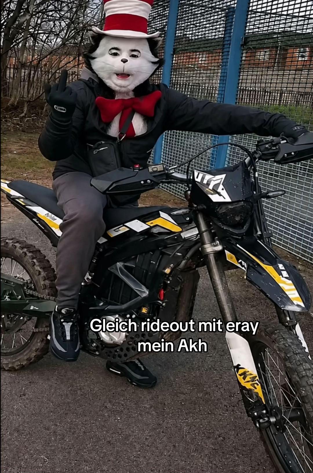 @catinthehathamm