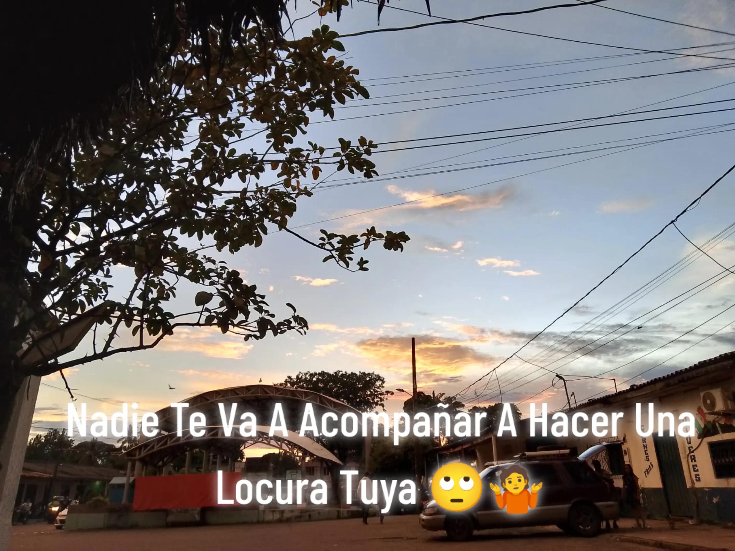 @G_utierrez ⚡