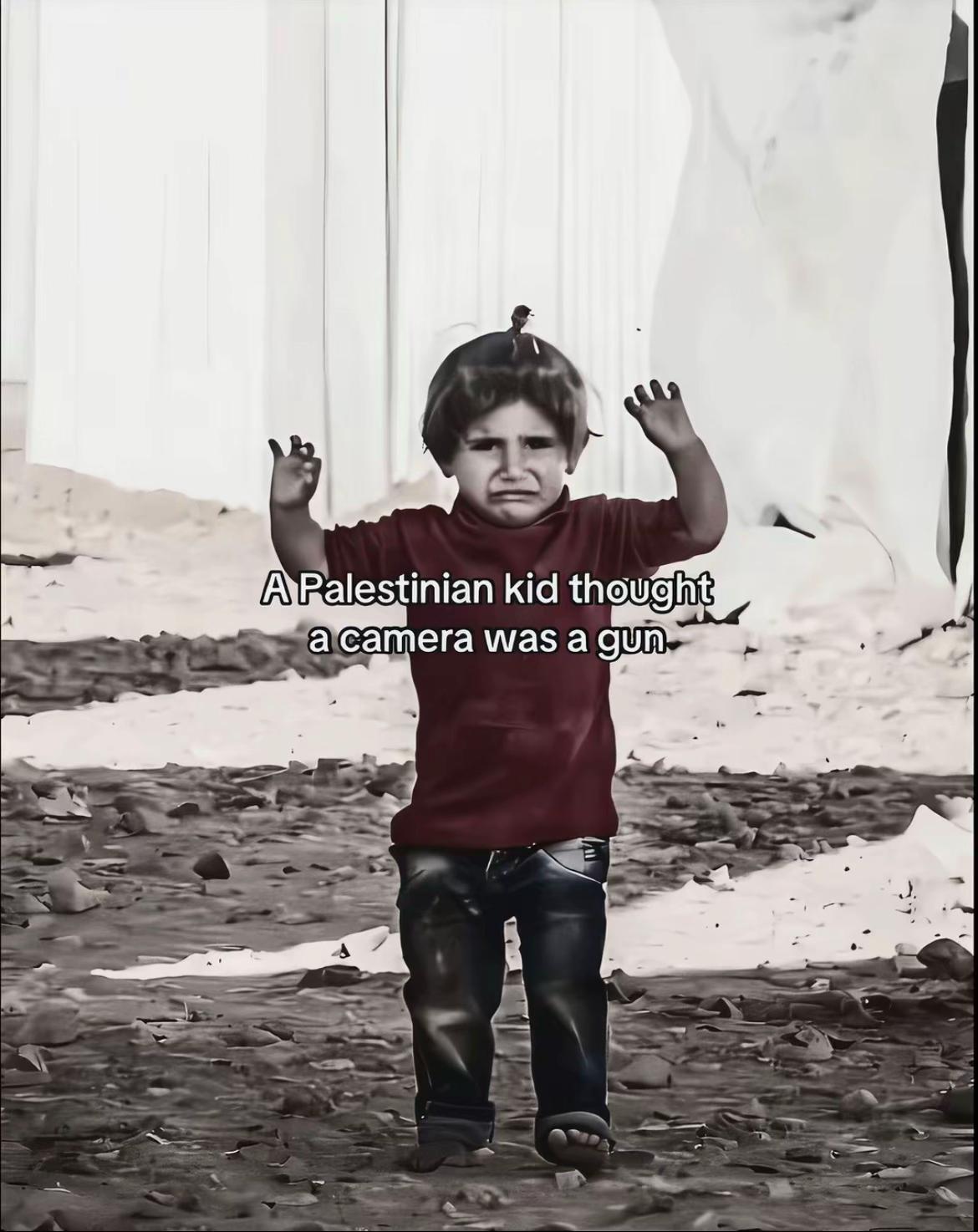 @𝐱𝐲𝐥𝐨𝐧𝐞𝐛𝐮𝐥𝐚𝟎🇺🇦🇮🇷