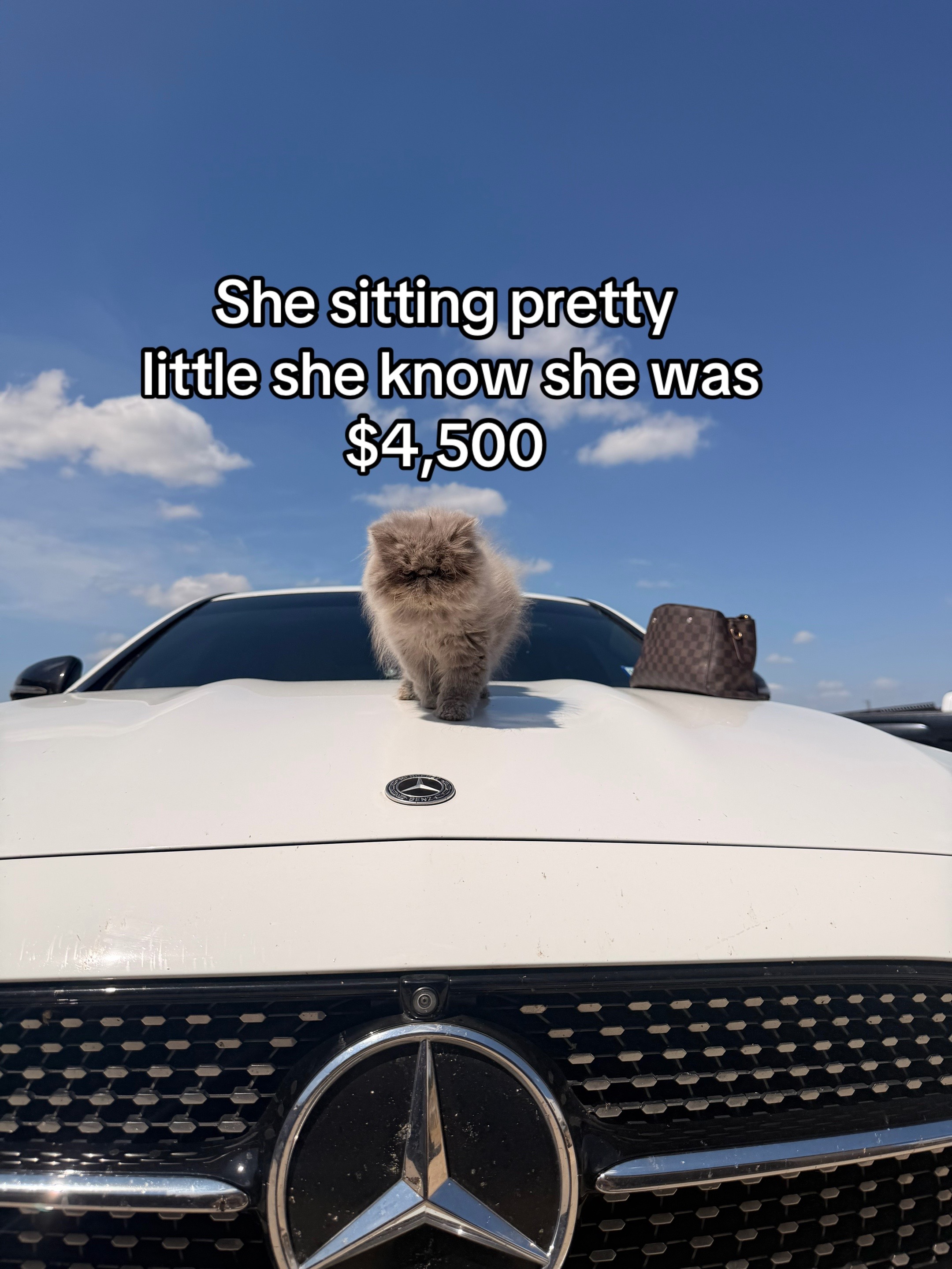 @thatonegeminishyy