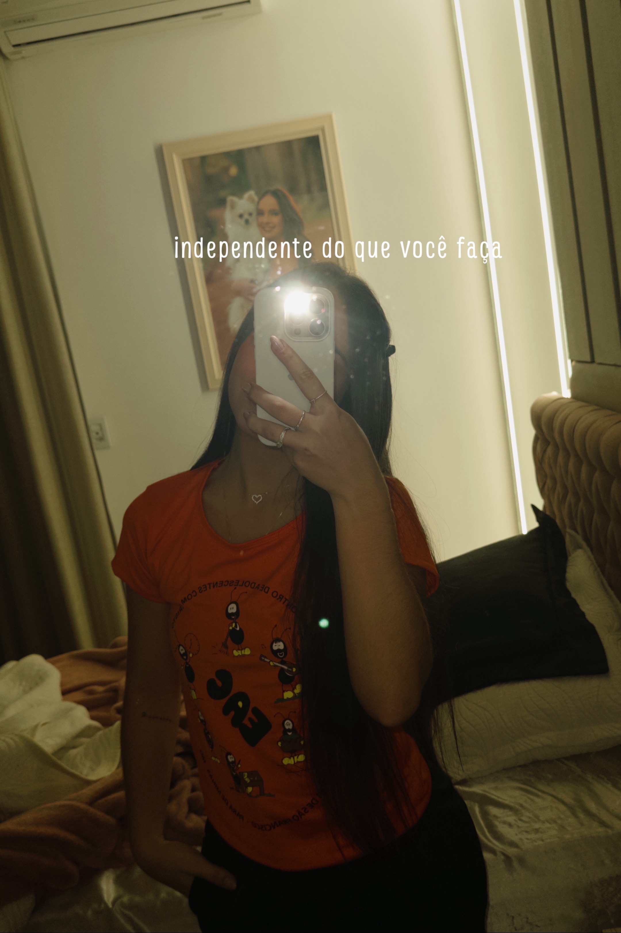 @aninha faria