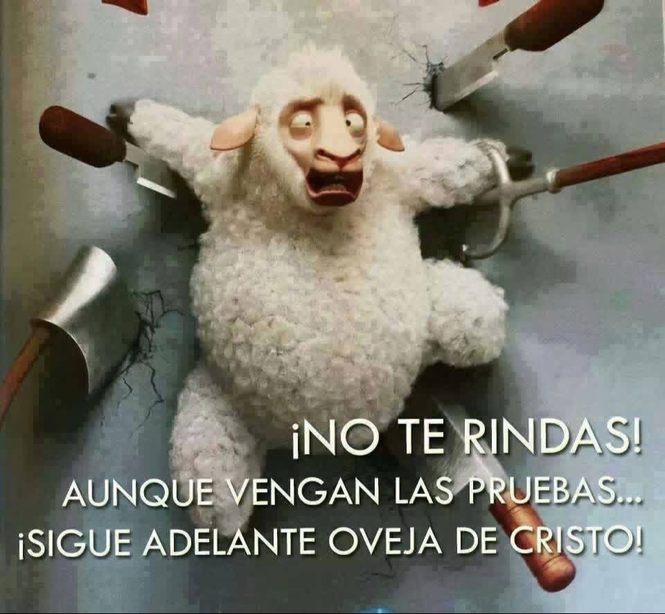 @Leti Sierva de Dios