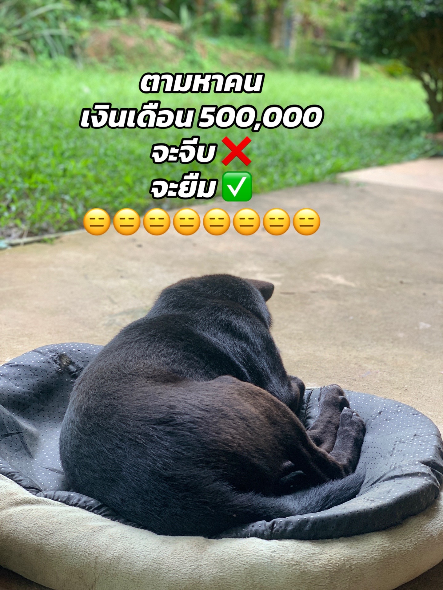 @KanuenG_NiD💓💰
