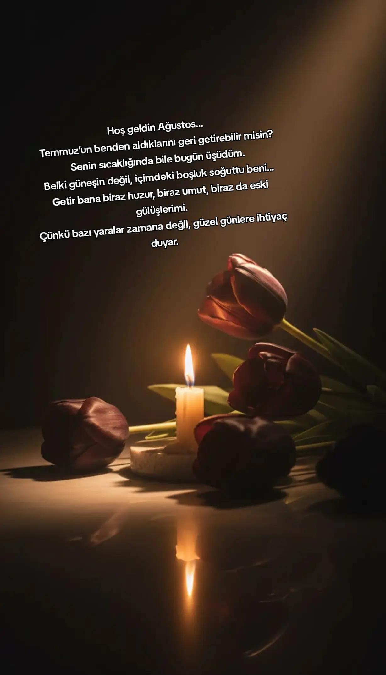 @🕊️꧁༺ ʜüᴢüɴ ᴋᴏᴋᴜꜱᴜ꧂🕊️