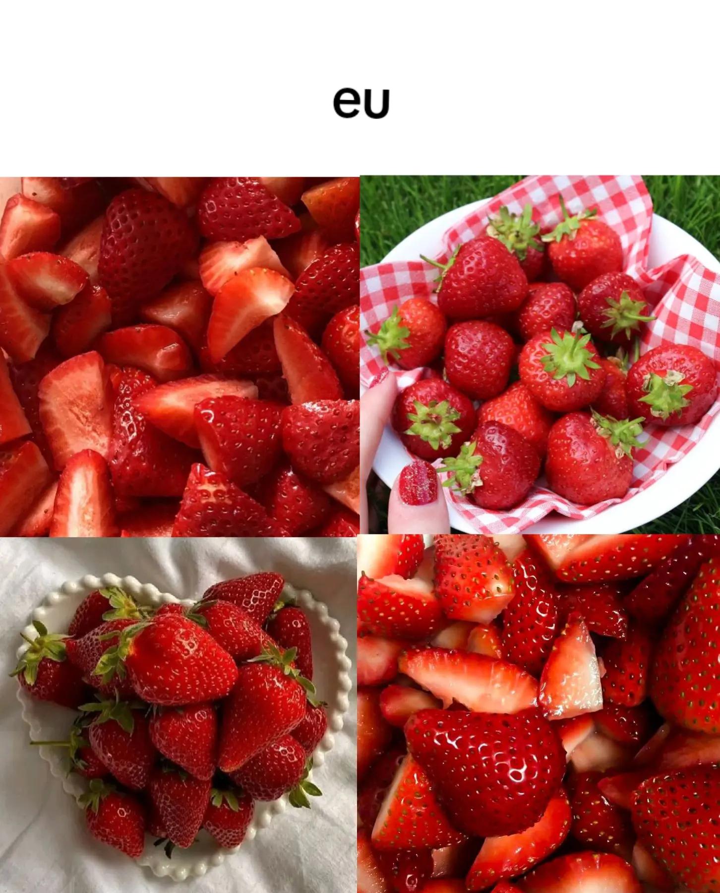 @˙. 𝜗ৎ 𝑬ᥣᥱᥒᥲ 𝑮іᥣᑲᥱr𝗍🩸ᩙ﹒᧔⑅᧓
