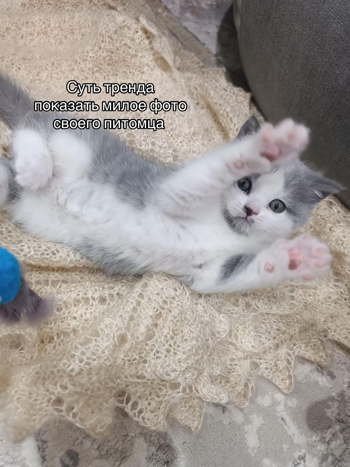 @варвар