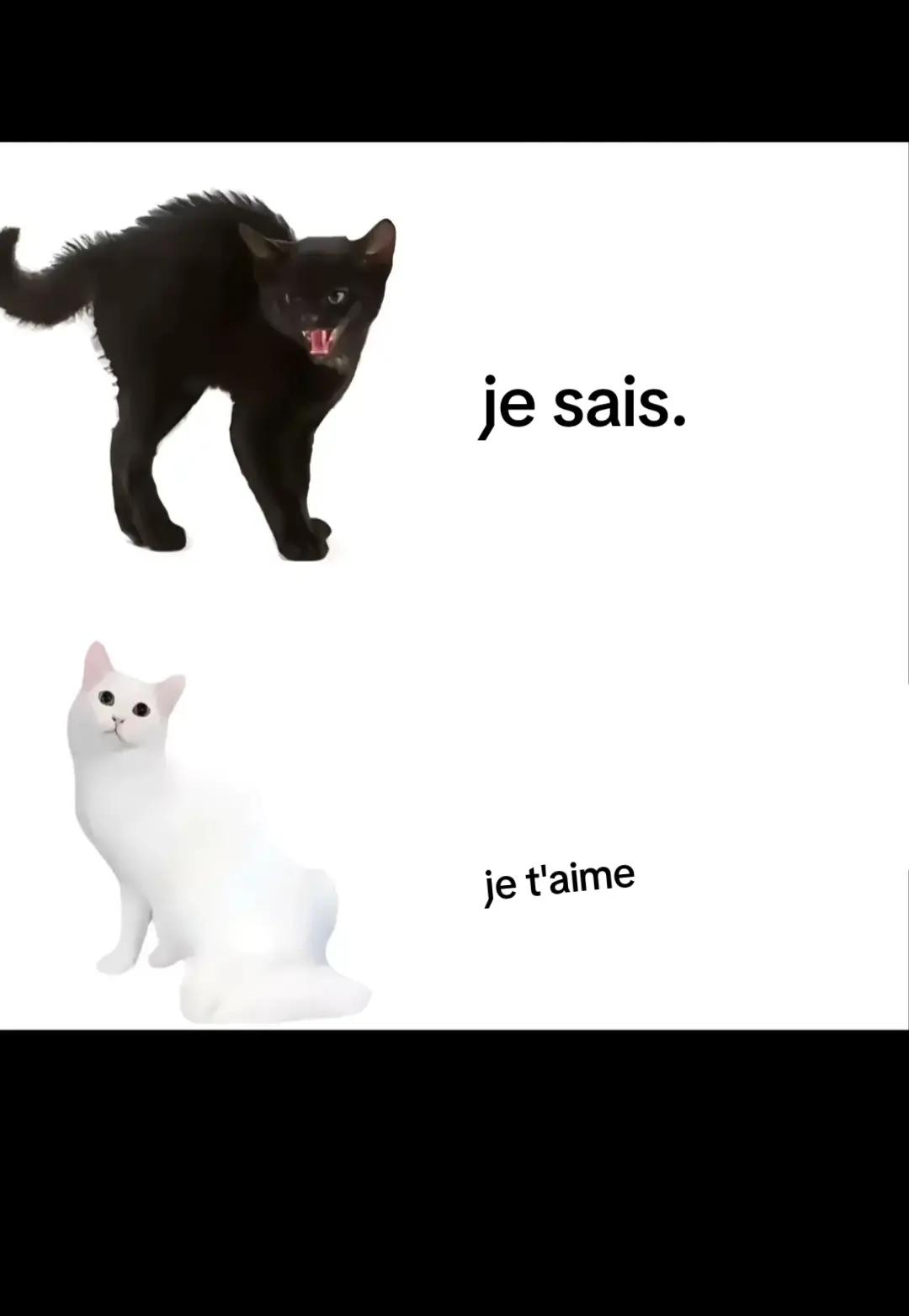 @๐น๐๐๐๐๐โฐ
