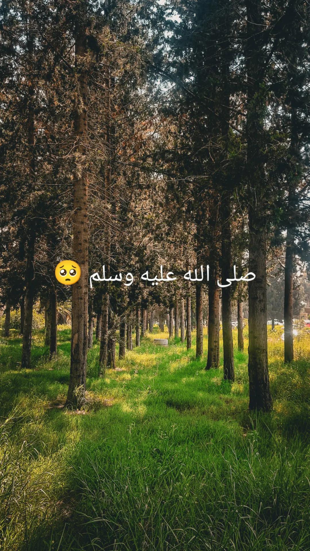 @القرآن الكريم