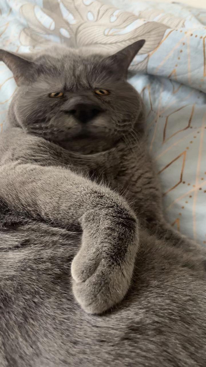 @мотя