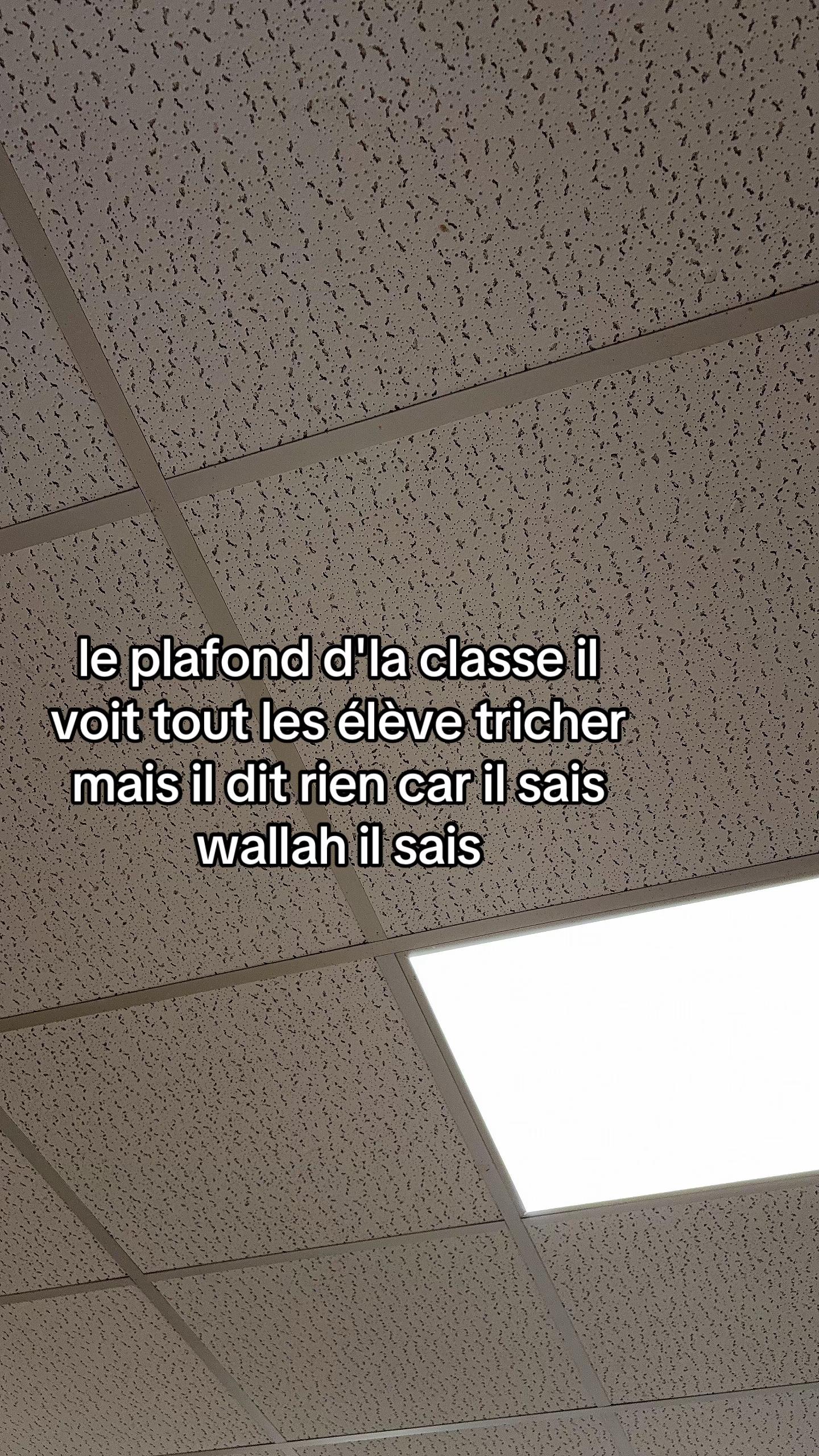 @𝑾𝒍.𝒅𝒓𝒅𝒏08