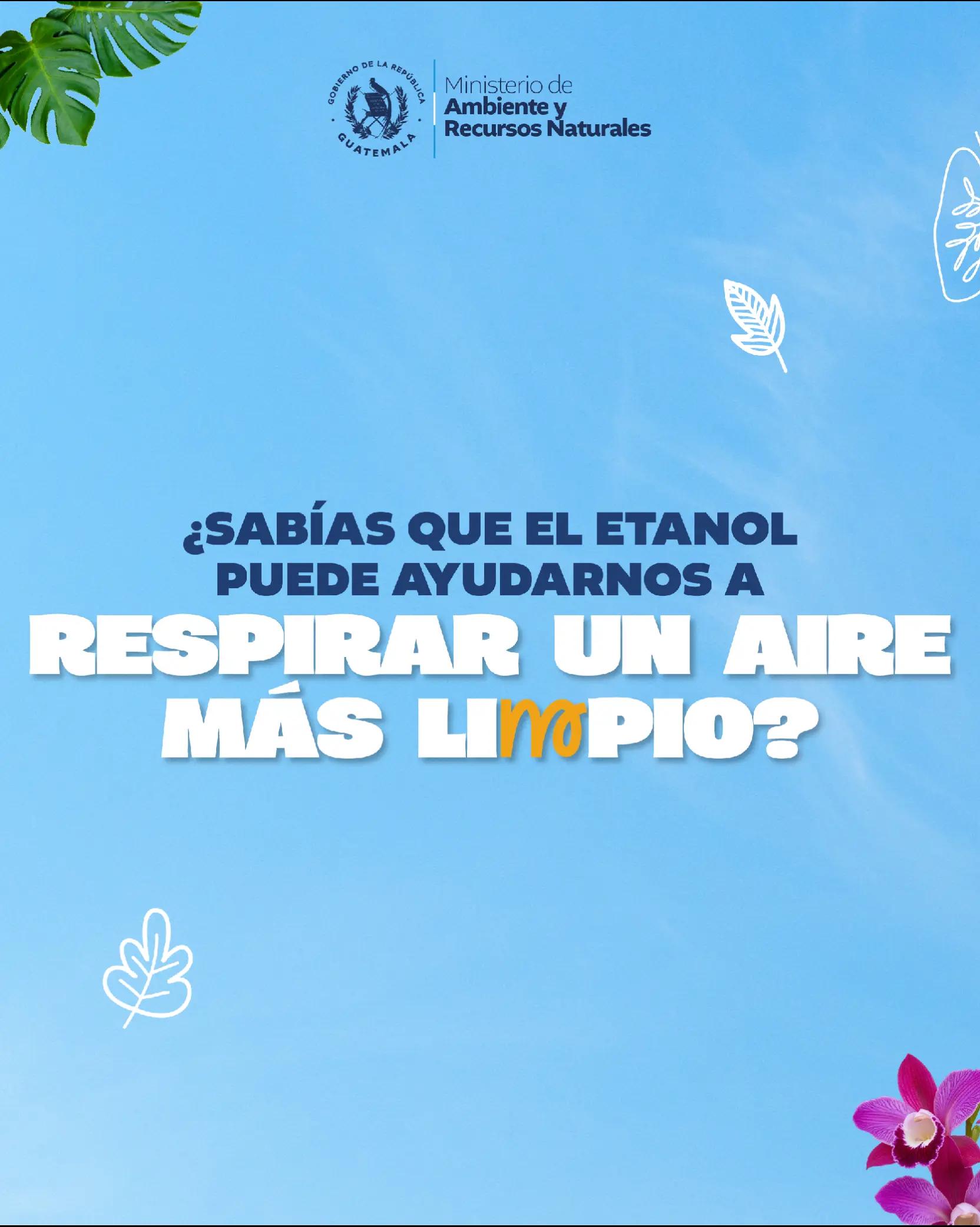 @Ministerio de Ambiente GT