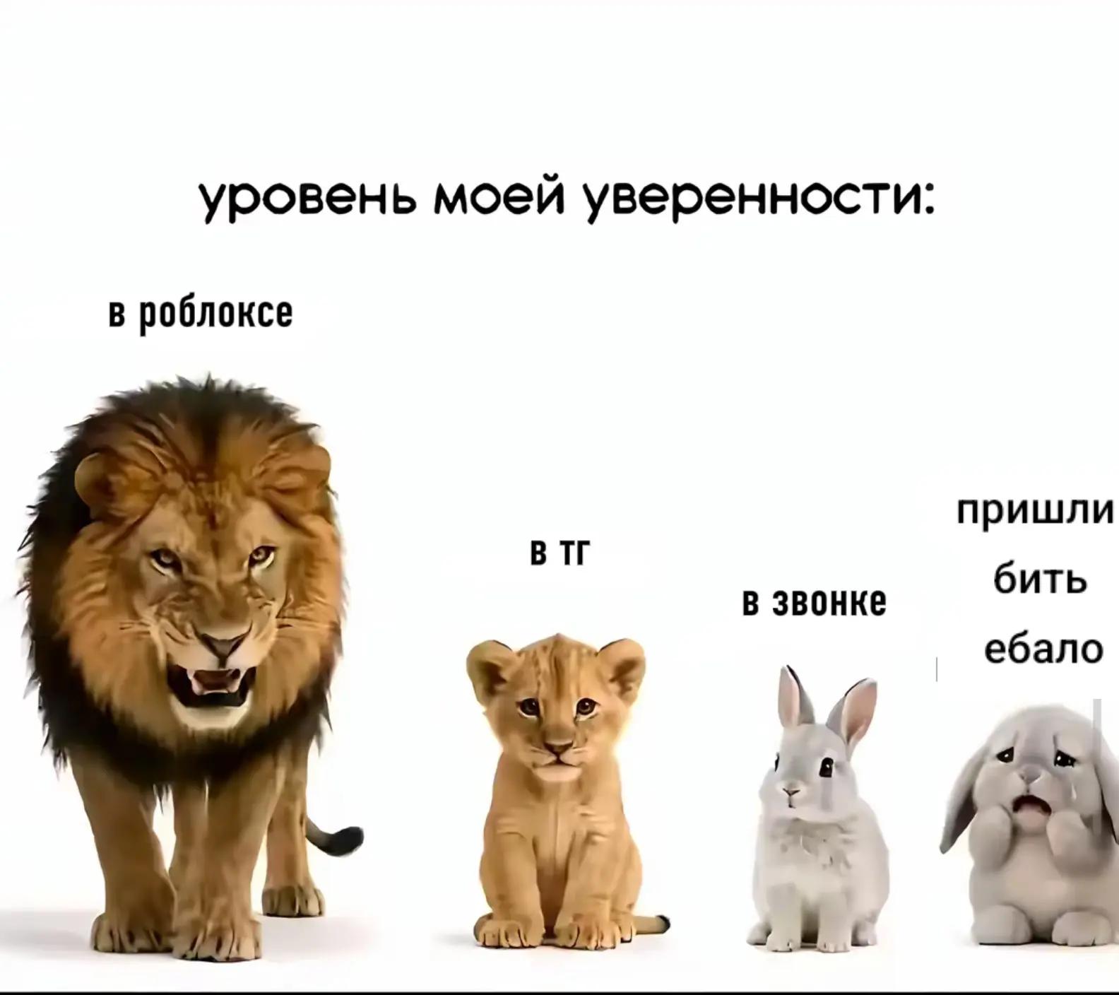 @жуковский_