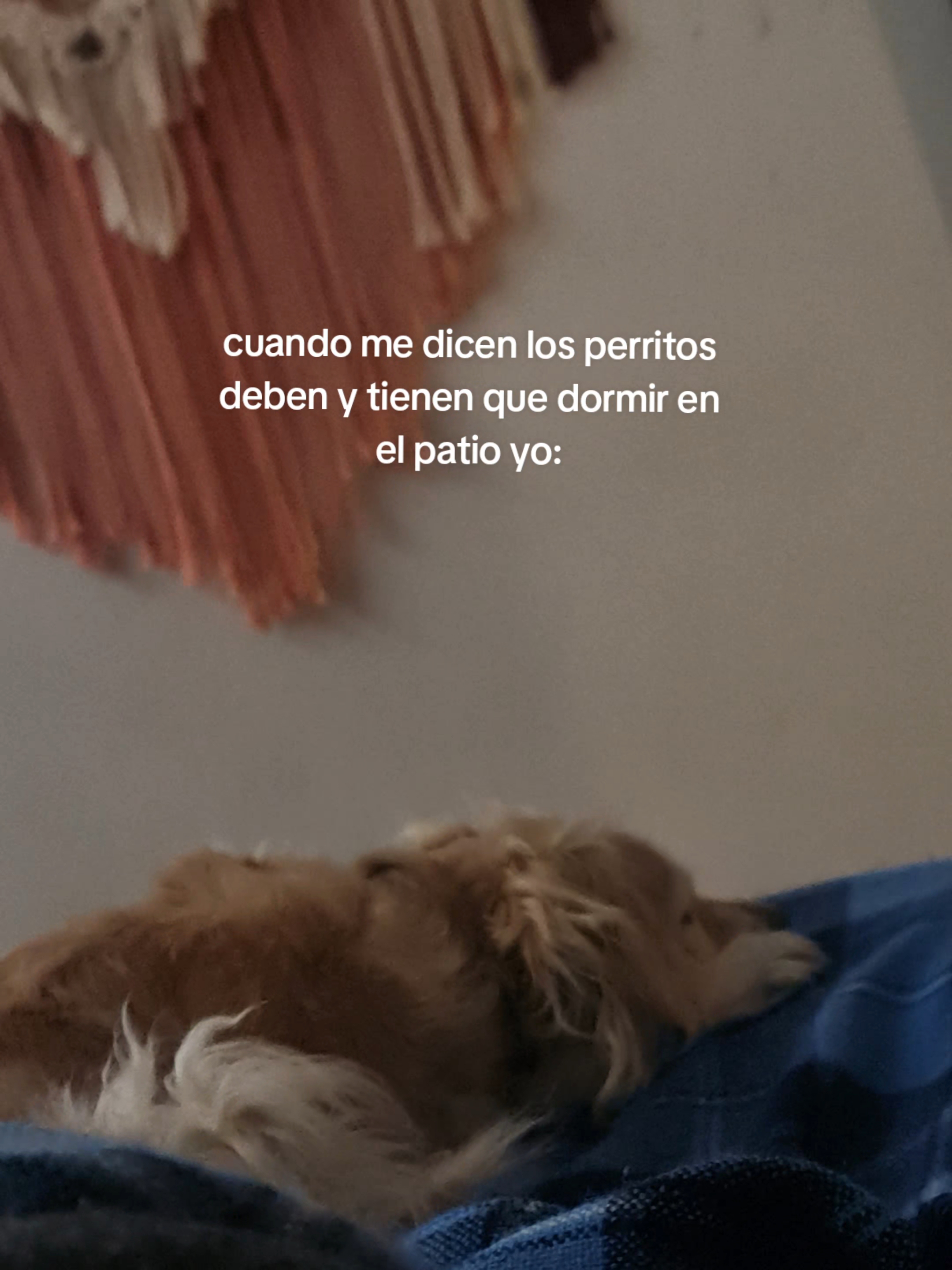 @Mariana Ugarriza🇨🇴❤️🩹