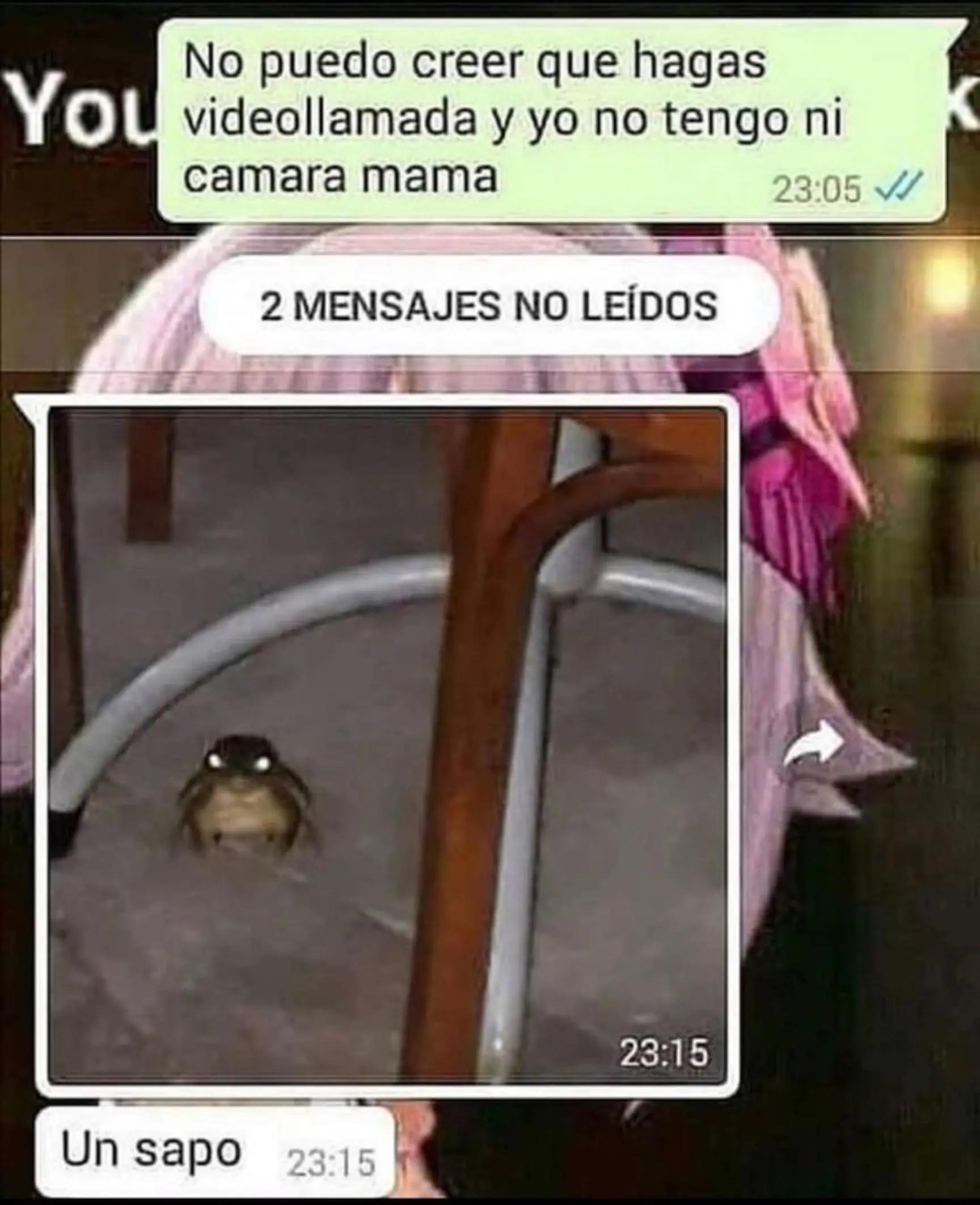 @meliodaz5252