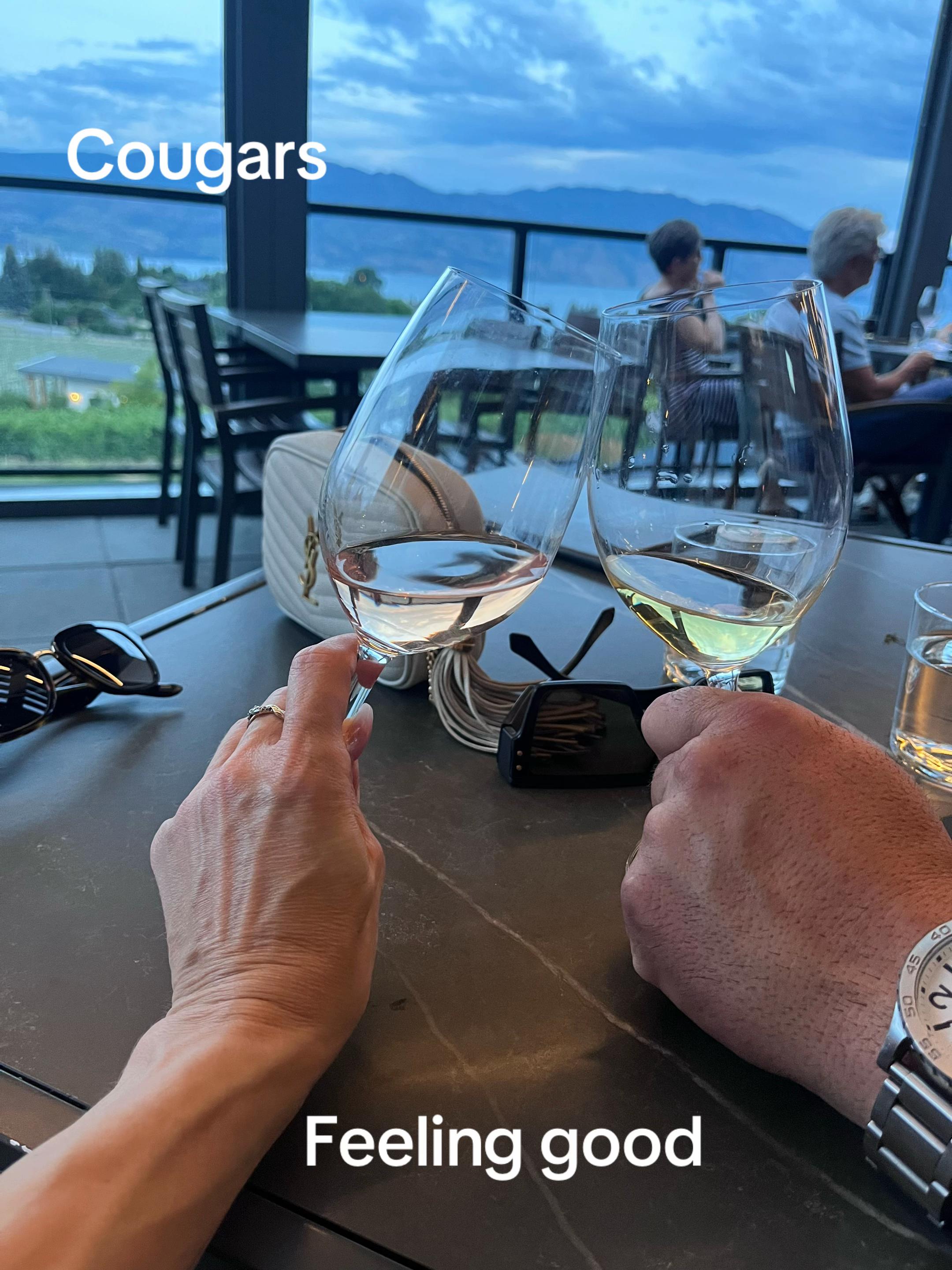 @cougarcousins