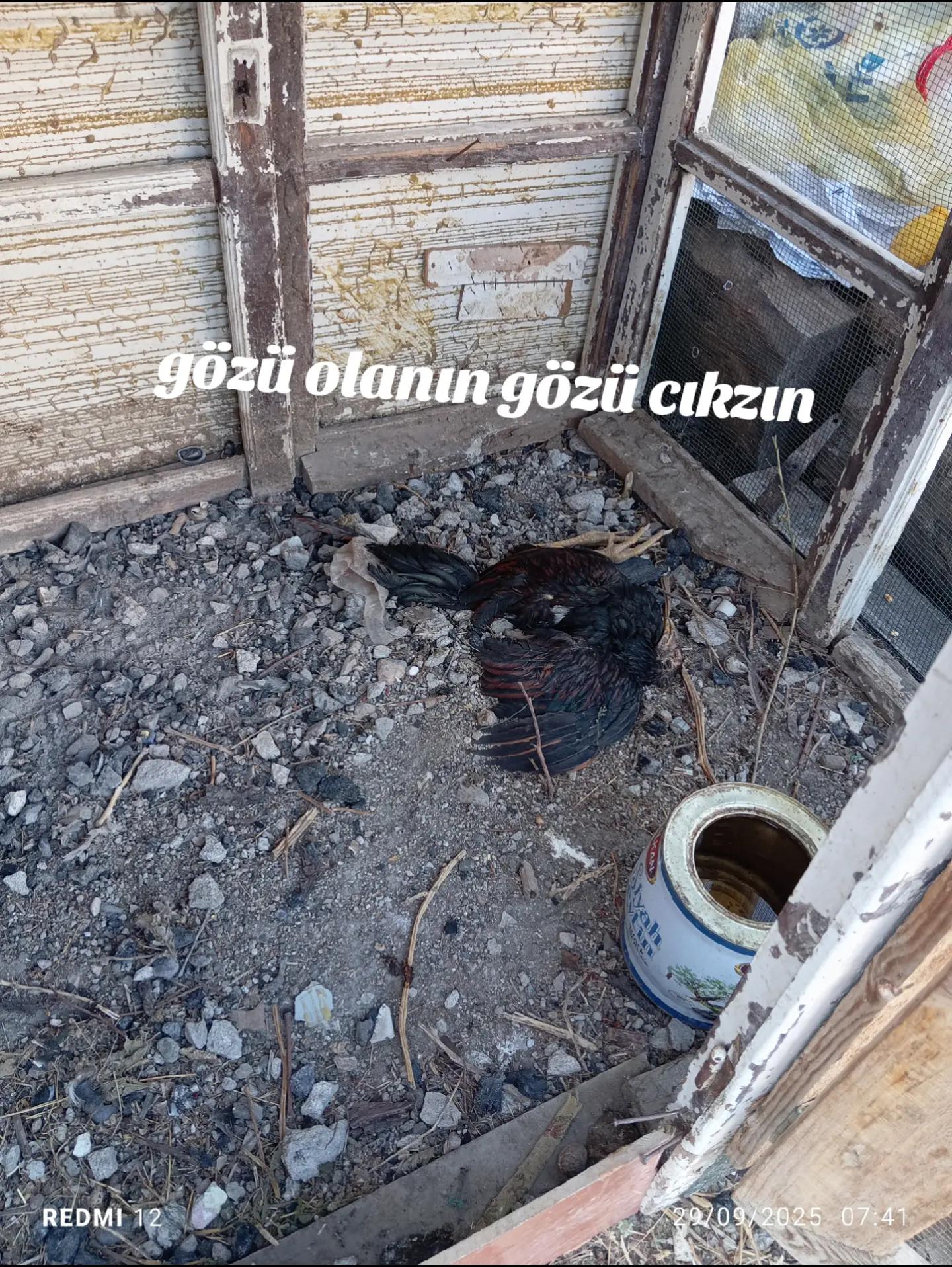@G&ouml;k