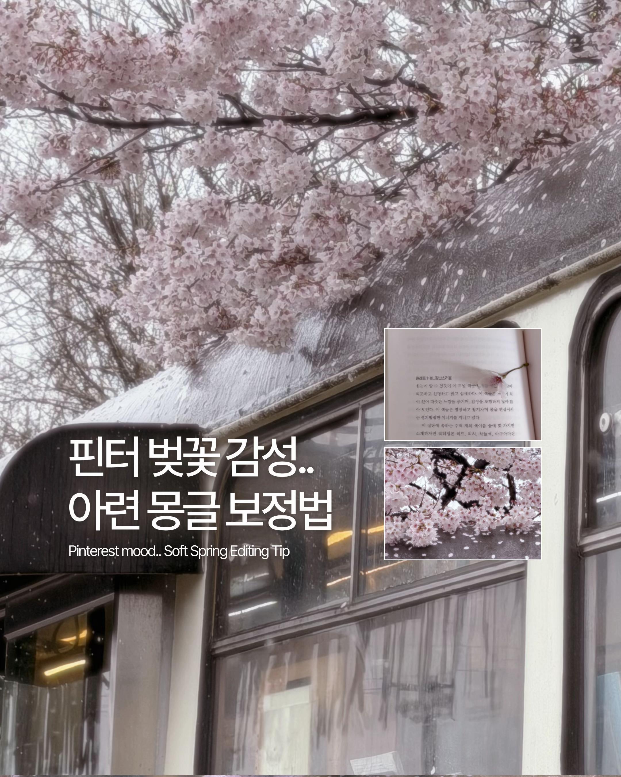 @베리 ベリ🪄