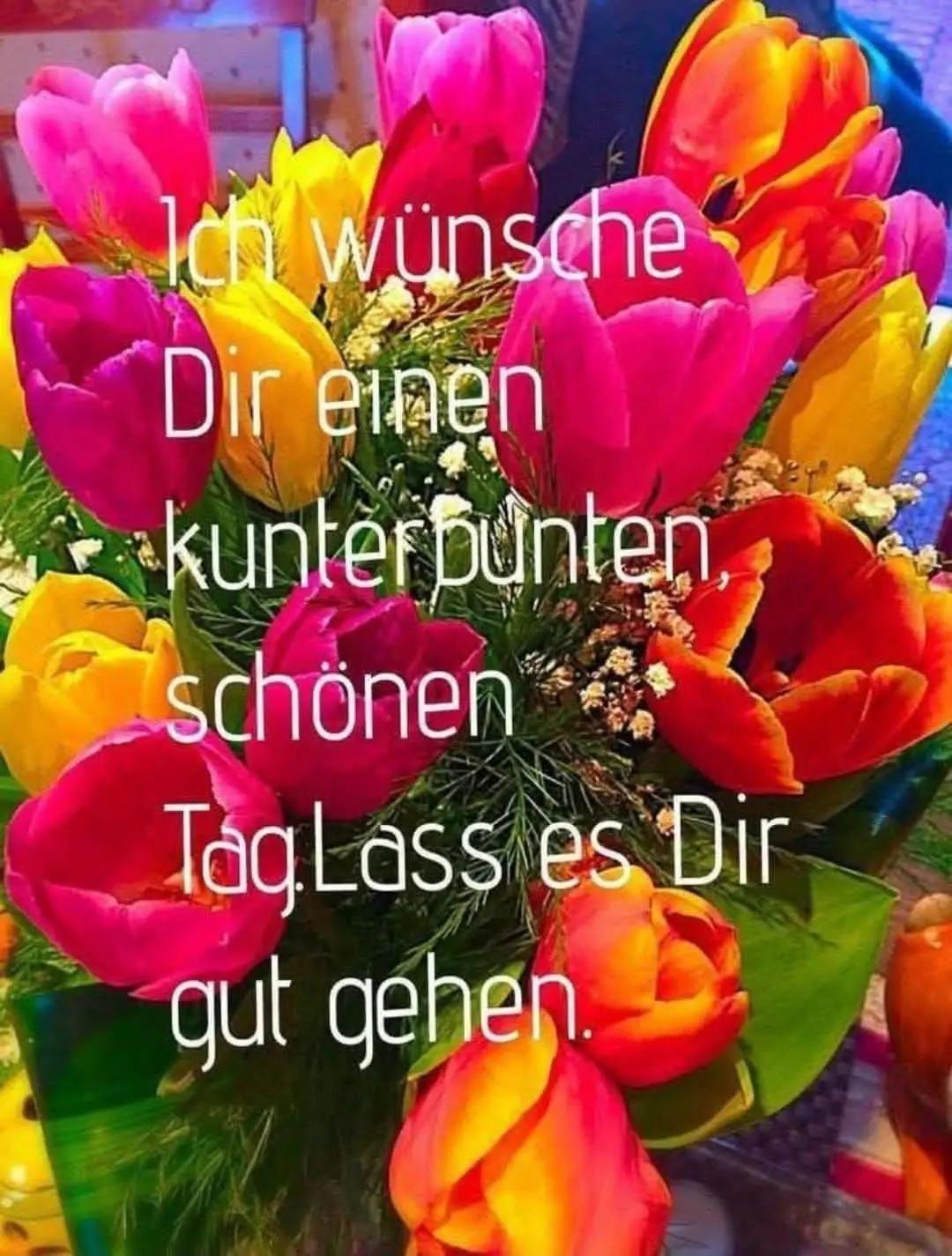 @maüschen