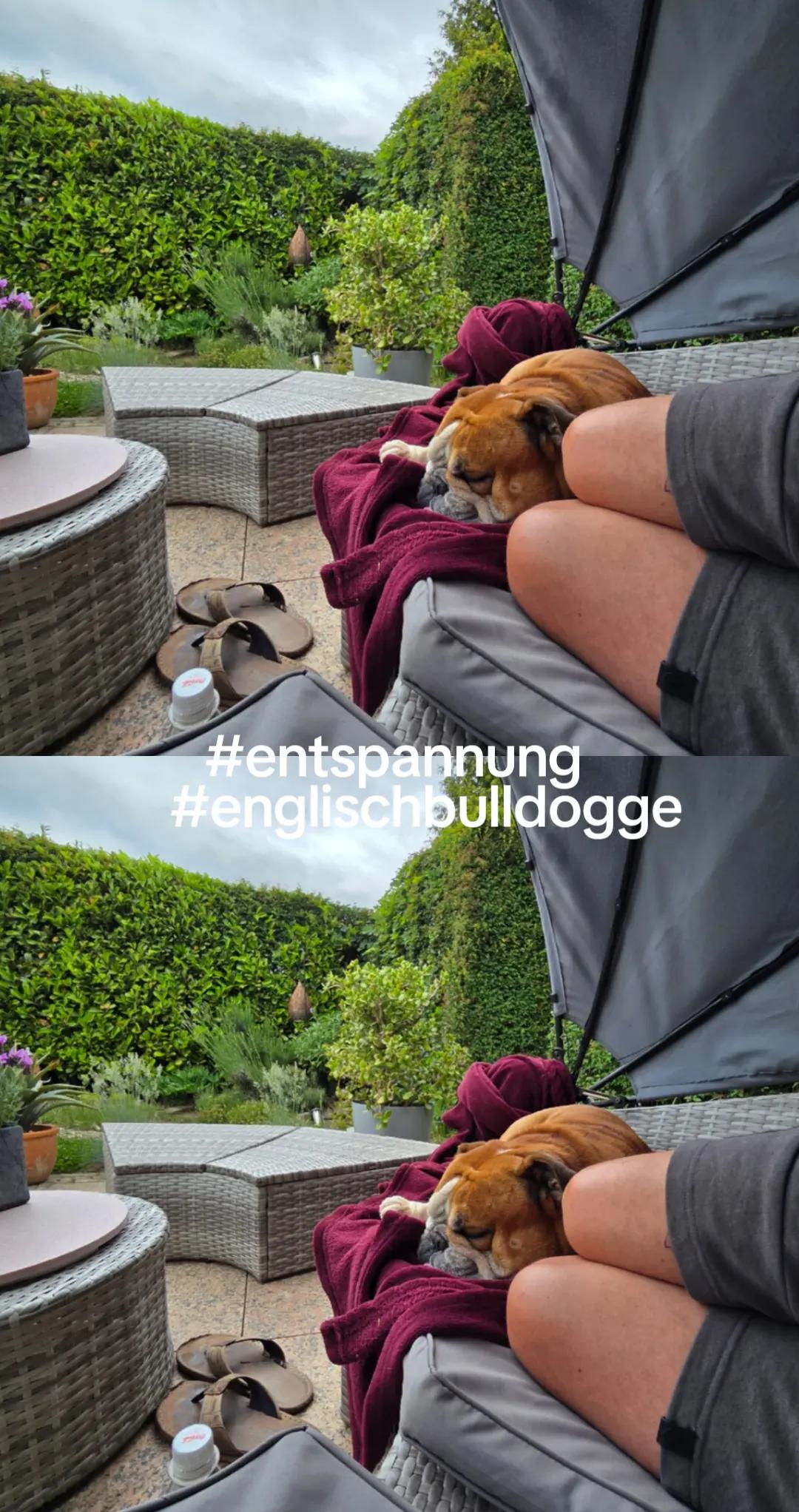 @Andreas Halbing