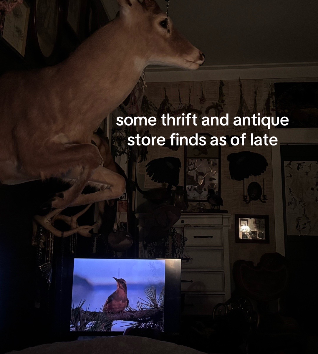 @mar