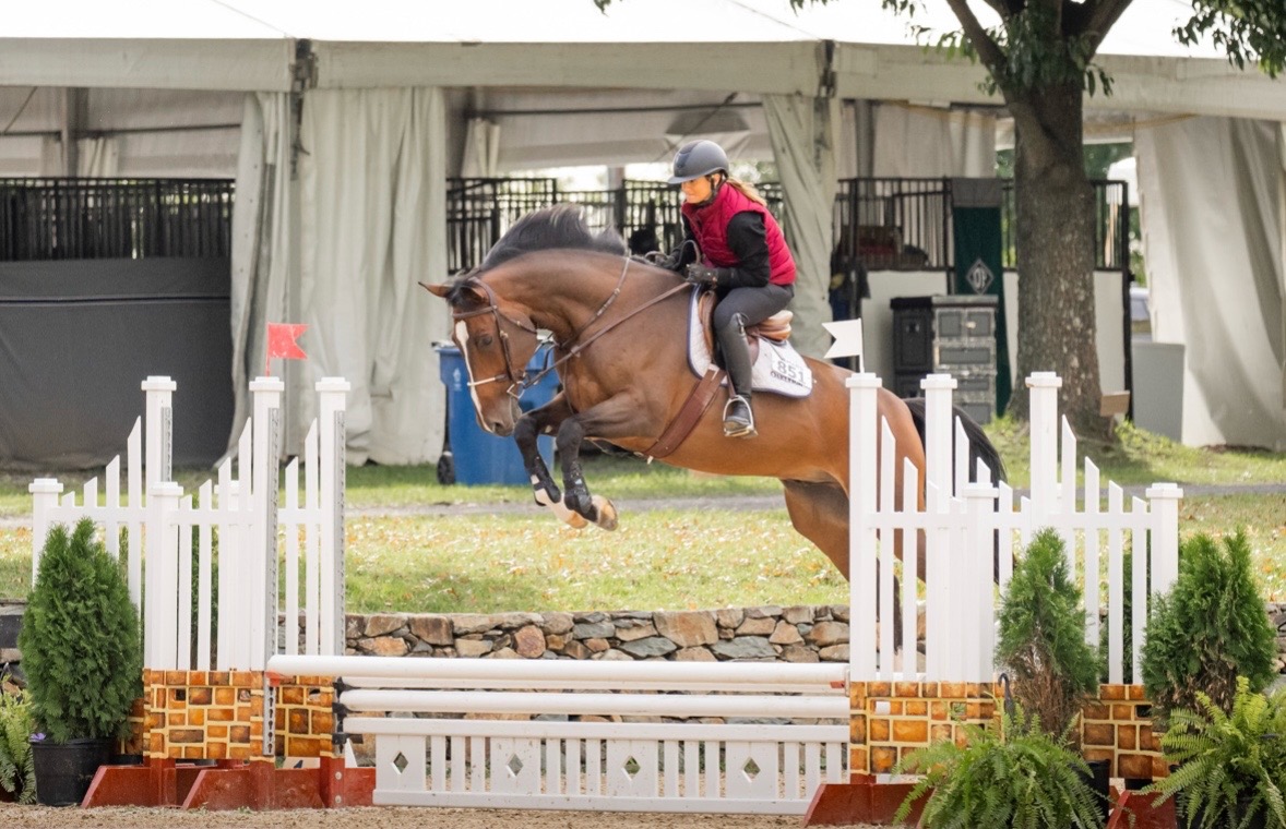 @ckponies