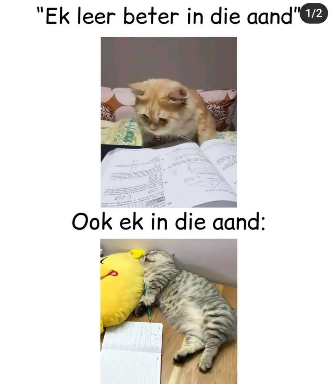 @Jaques Fourie