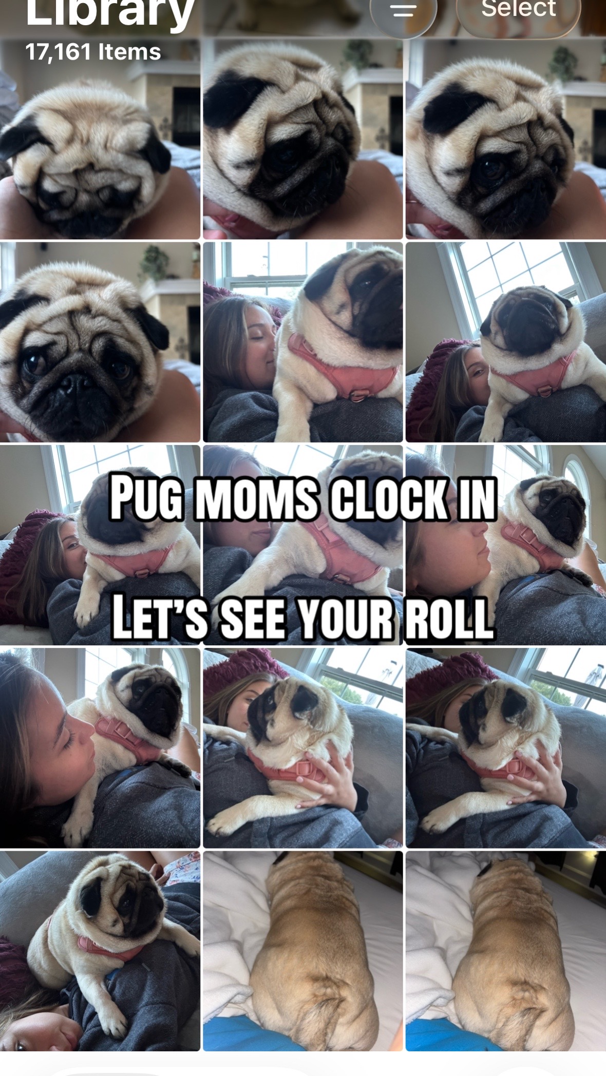 @PUGNAROUND