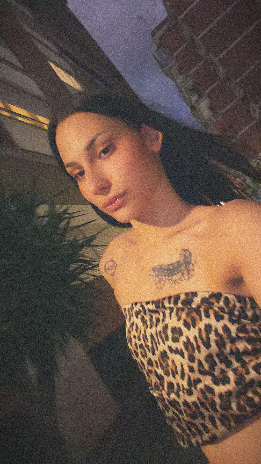 @beatriceranieri58
