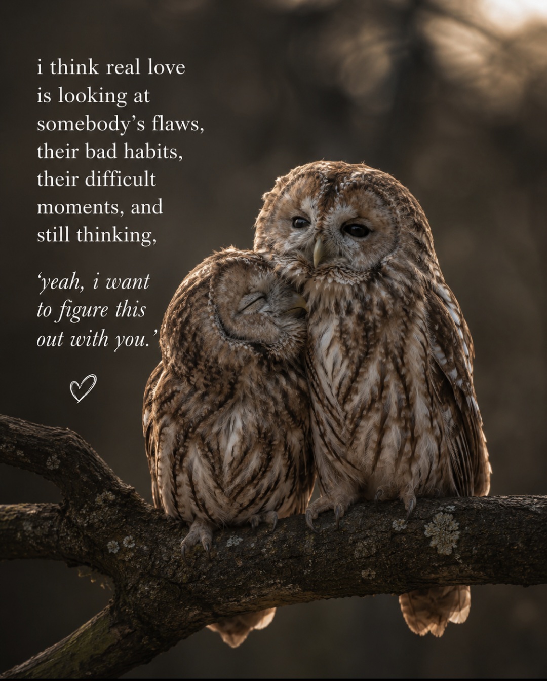 @Birddaddy🦜🦉🦅