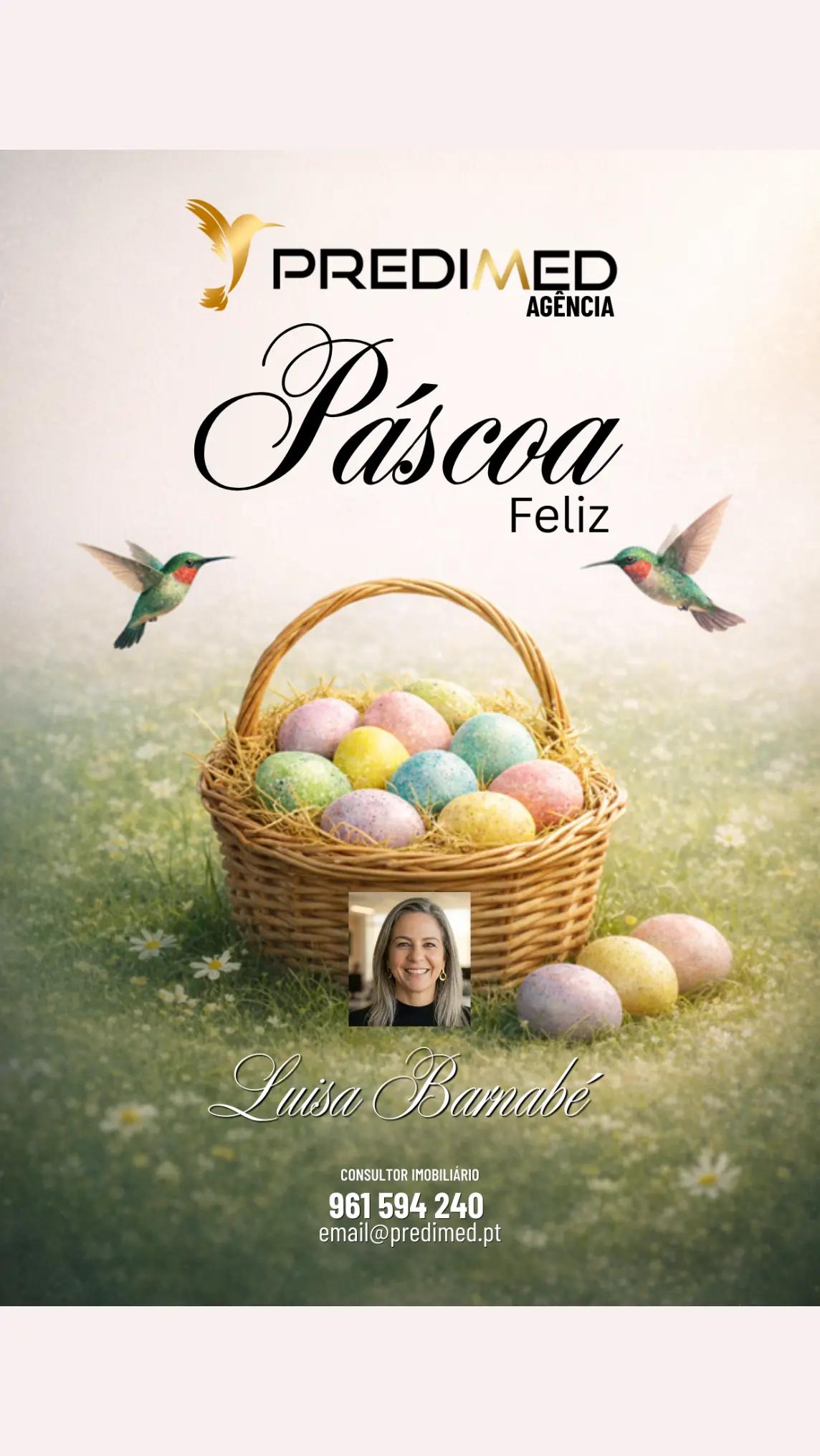 @Luísa Barnabé